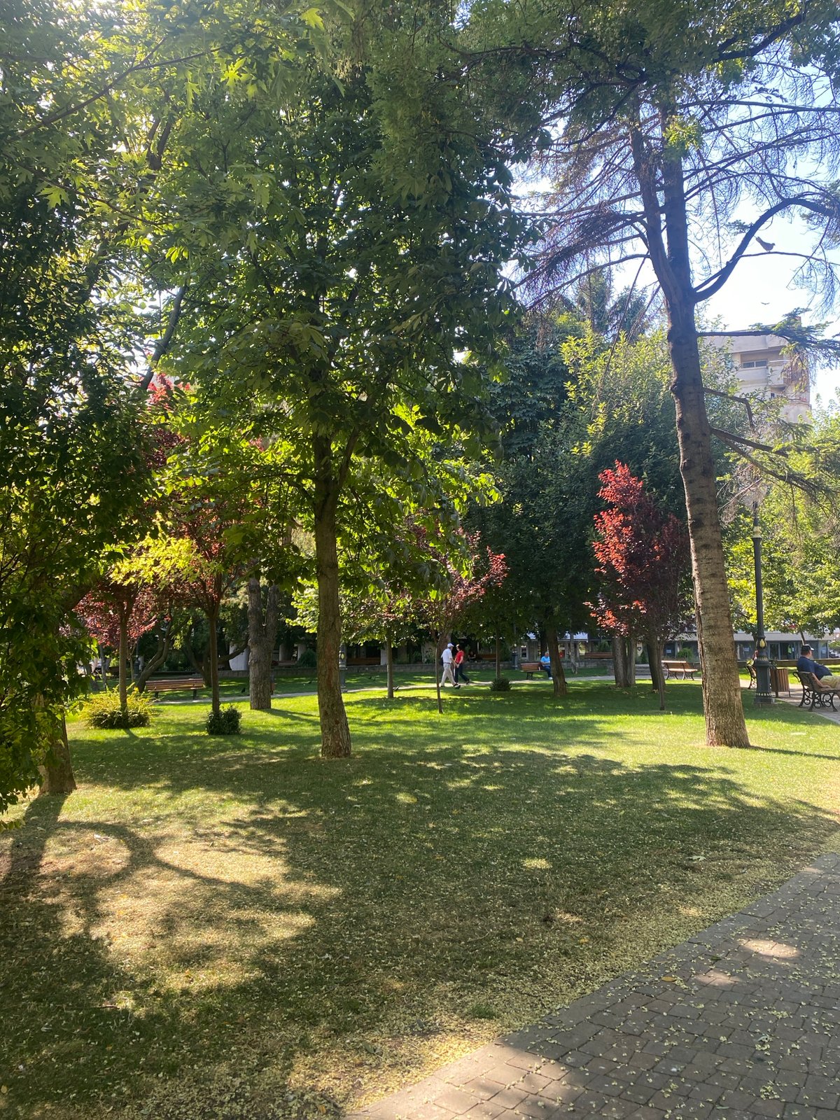 Sunny afternoon stroll through a leafy Iași park