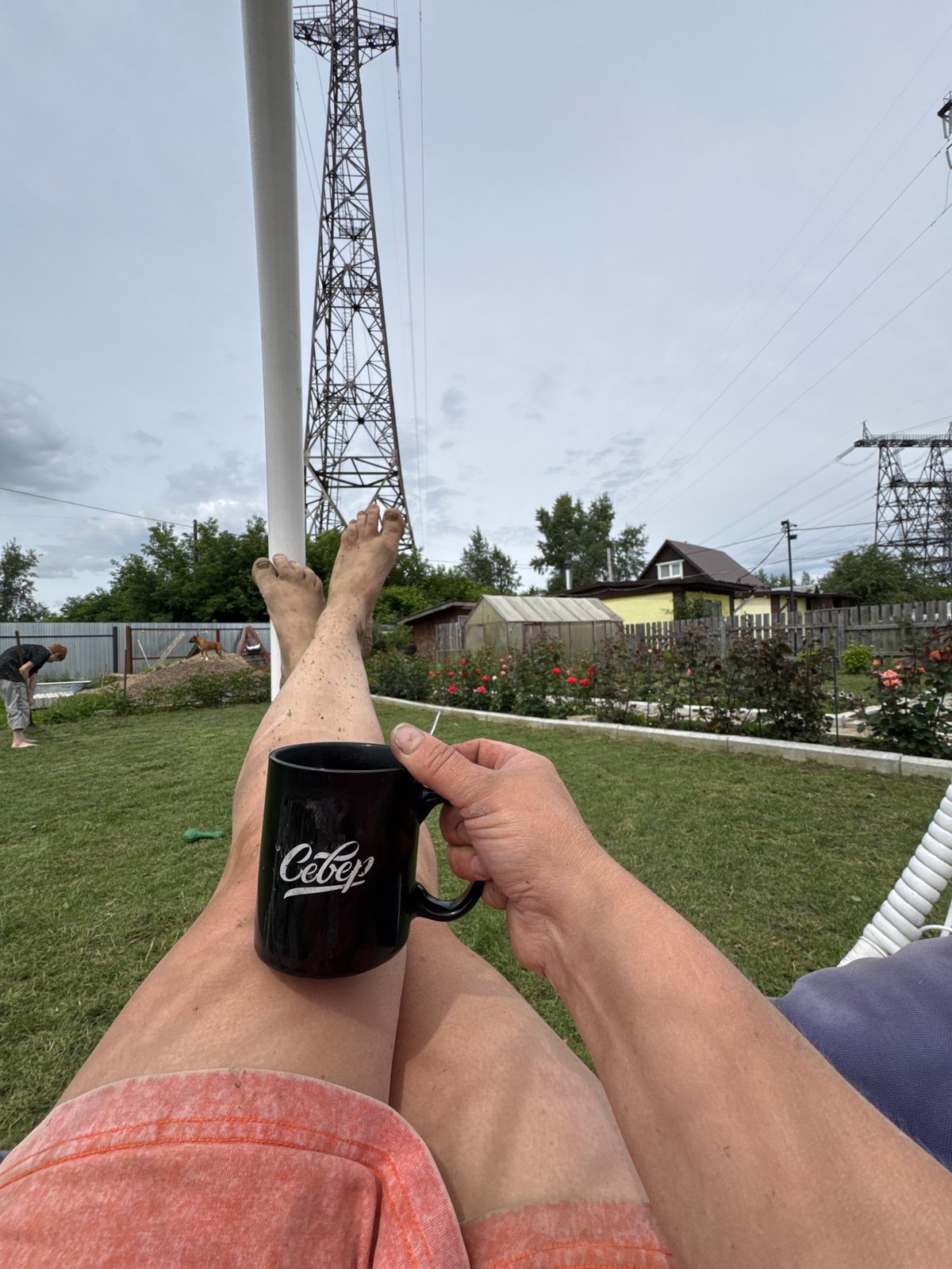 Lazy summer morning in a Chaikovsky backyard with dogs and coffee