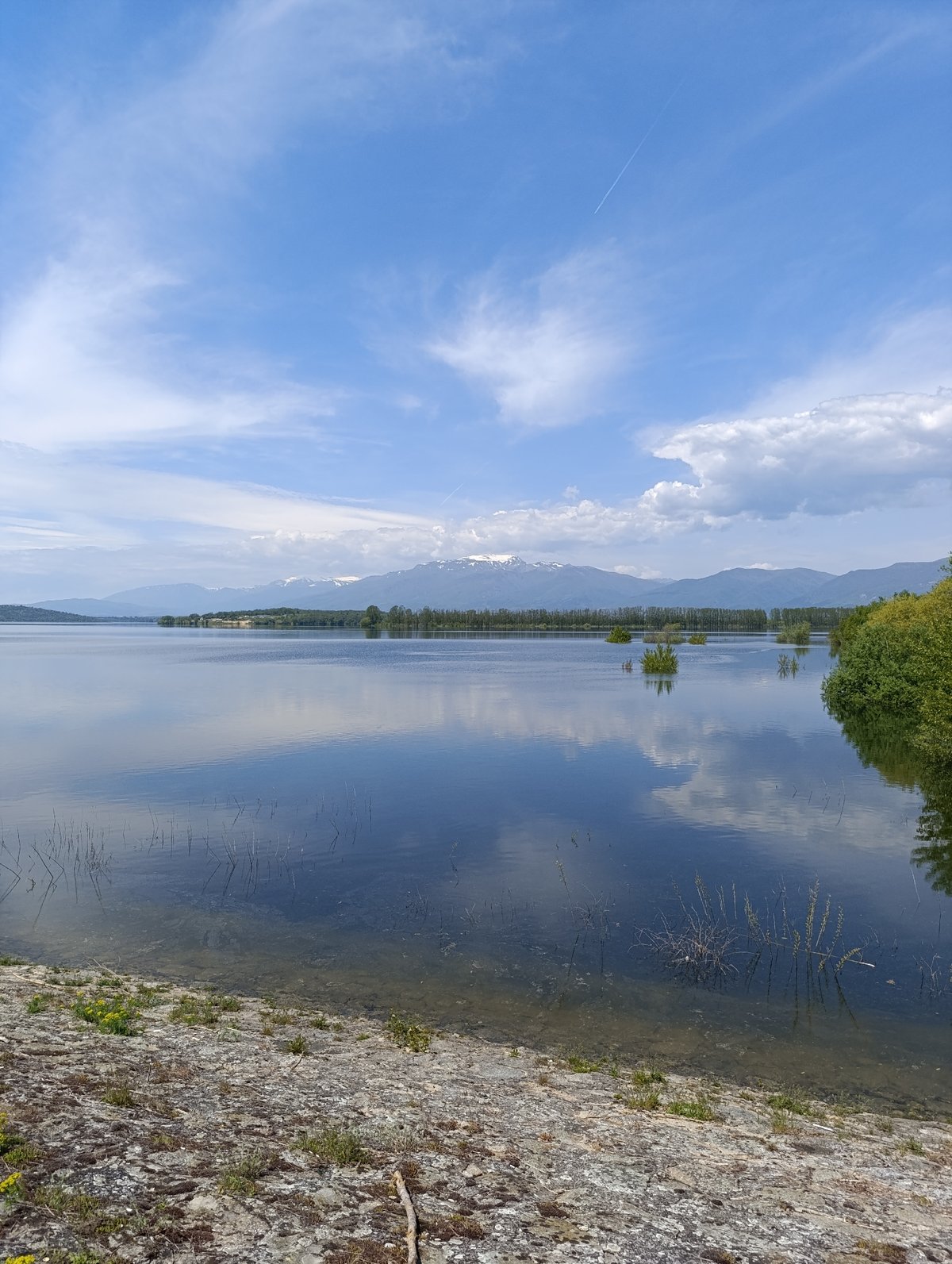 Lakeside nature walk documented over 11 minutes, one unusual sighting