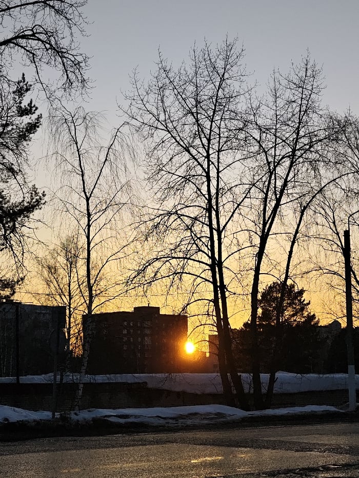 Winter day documented in Chaikovsky: families, cats, snowy streets