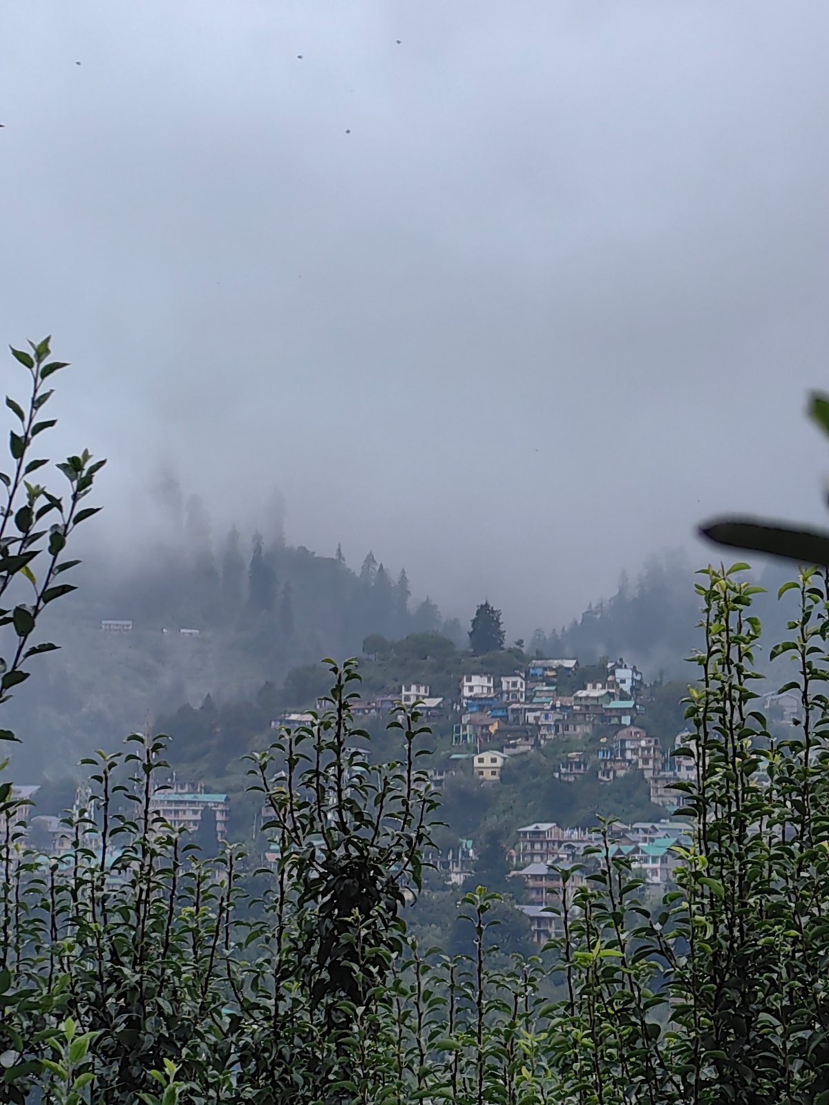 Manali blanketed in monsoon mist on a gray July afternoon