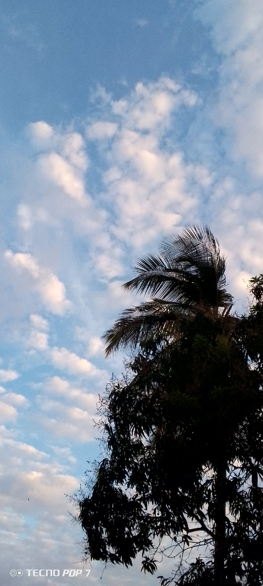 Sky conditions documented over 15 minutes in Altagracia, Venezuela