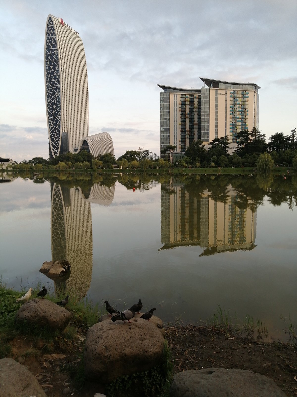 Batumi's landmark waterfront hotels reflected in still water