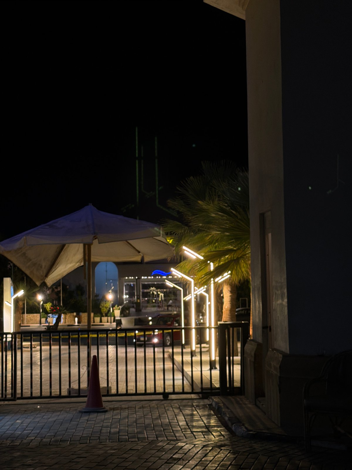 Evening walk through Sharm El Sheikh with a stroller and street cat