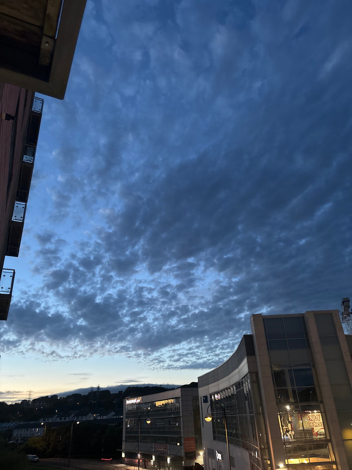 Quiet Cork evening: kittens, drinks, and dusk skyline
