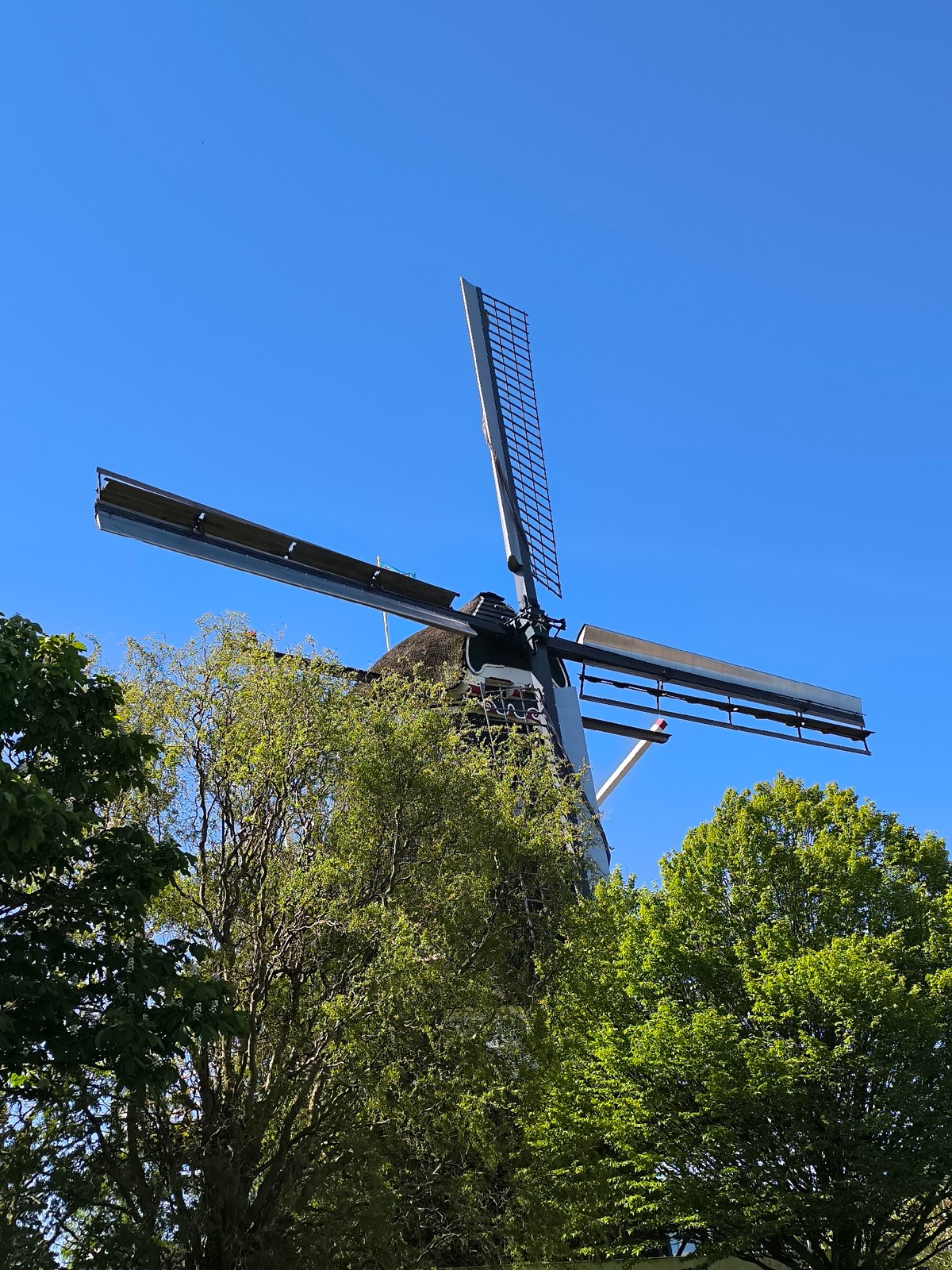 Spring morning scenes captured around Alkmaar windmill and playground