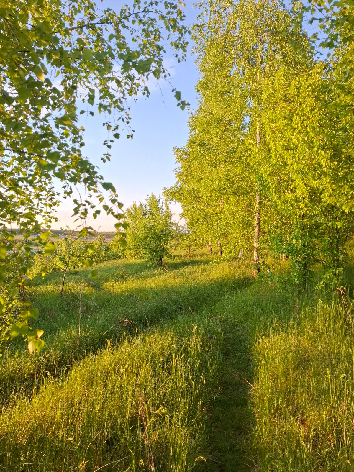 Rural landscape photographed in Khlevnoye, Russia during afternoon hours