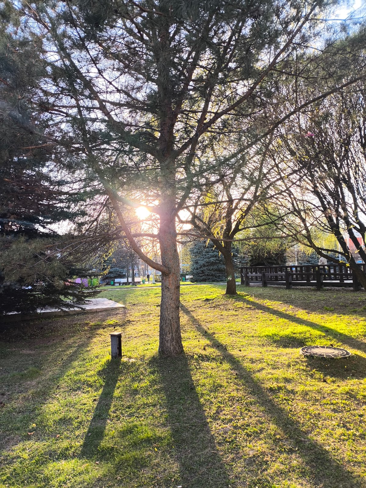 Afternoon stroll captures Moscow's parks, art, and street food
