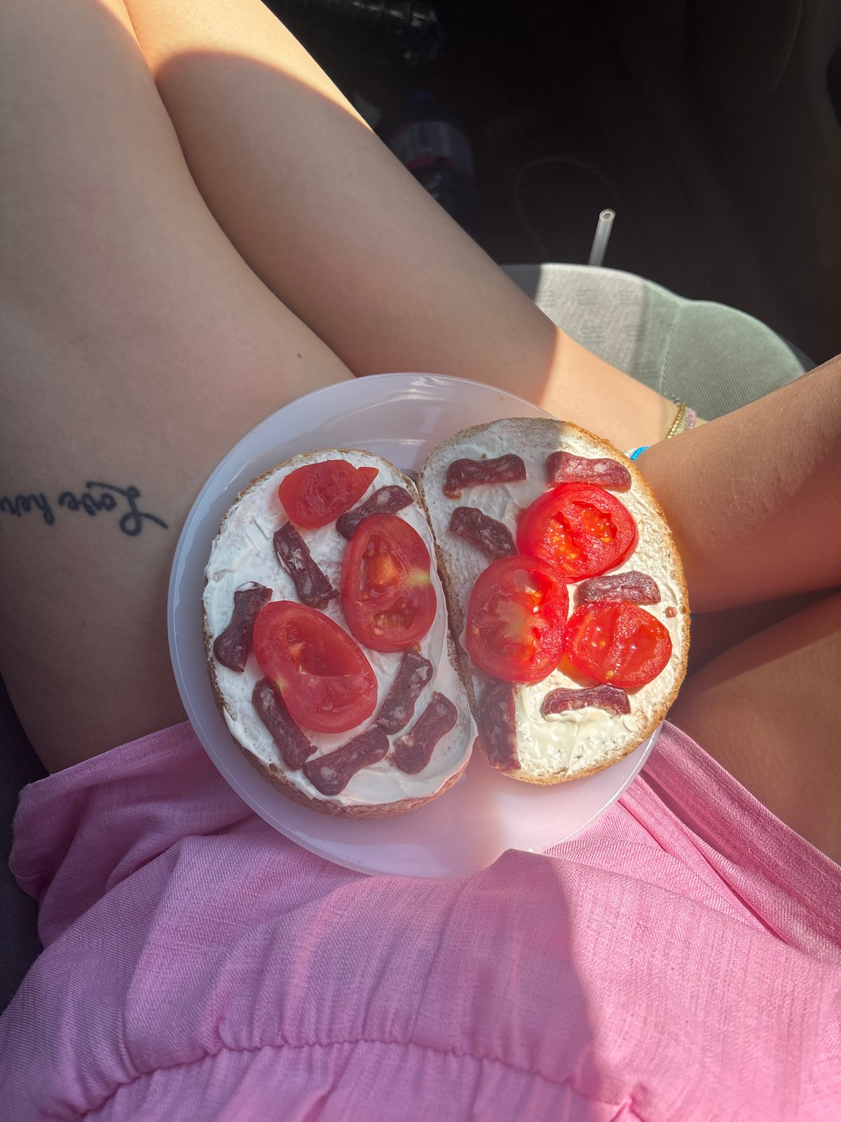 Road trip lunch with dogs captured in Bulgarian countryside