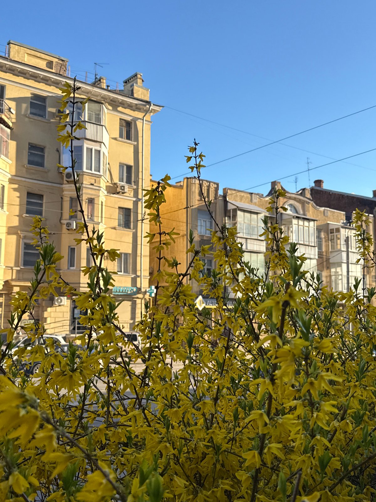 Spring blooms frame urban building in Ovoshchnoy, Russia