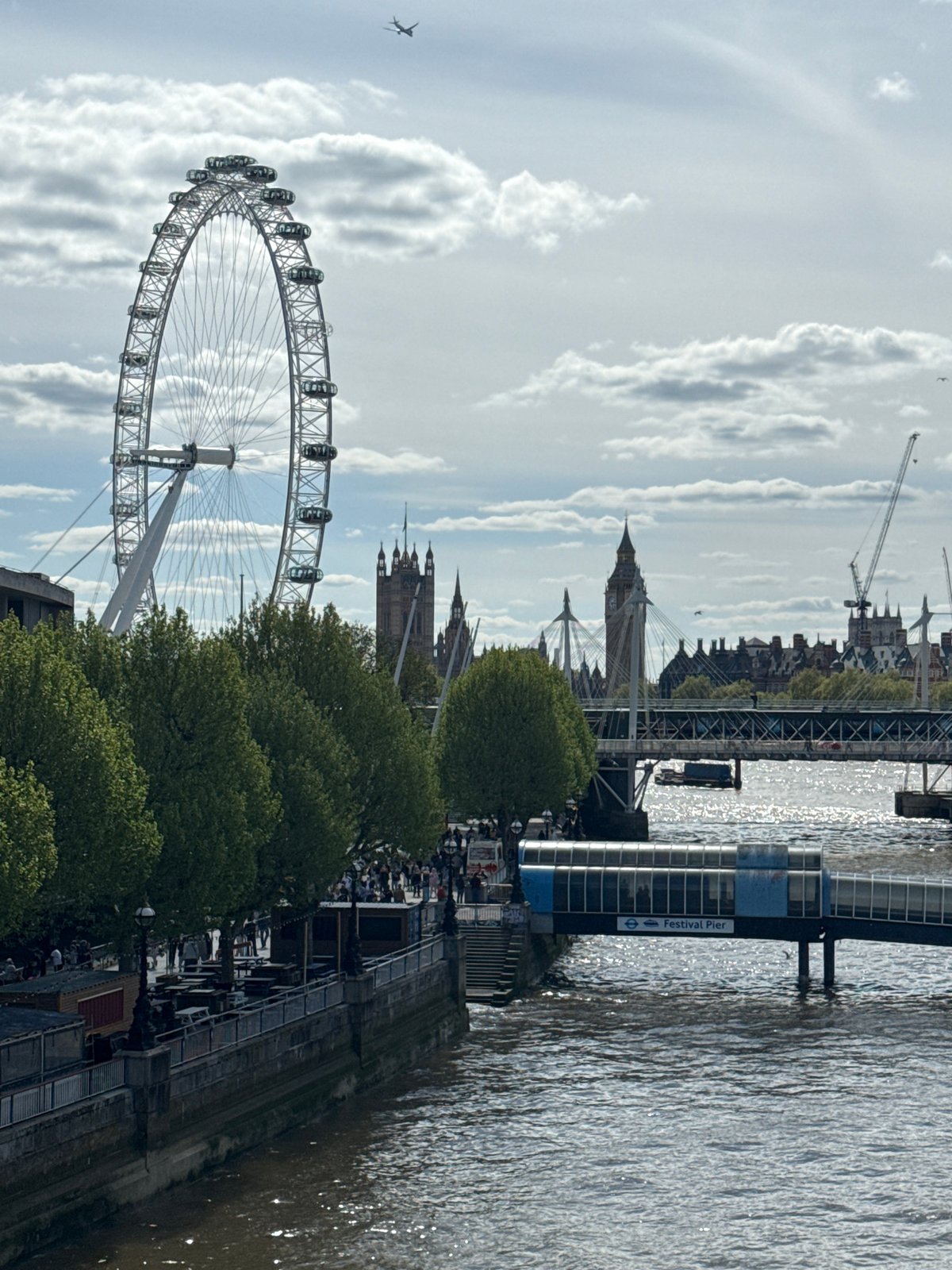 London Eye and Parliament captured in afternoon view