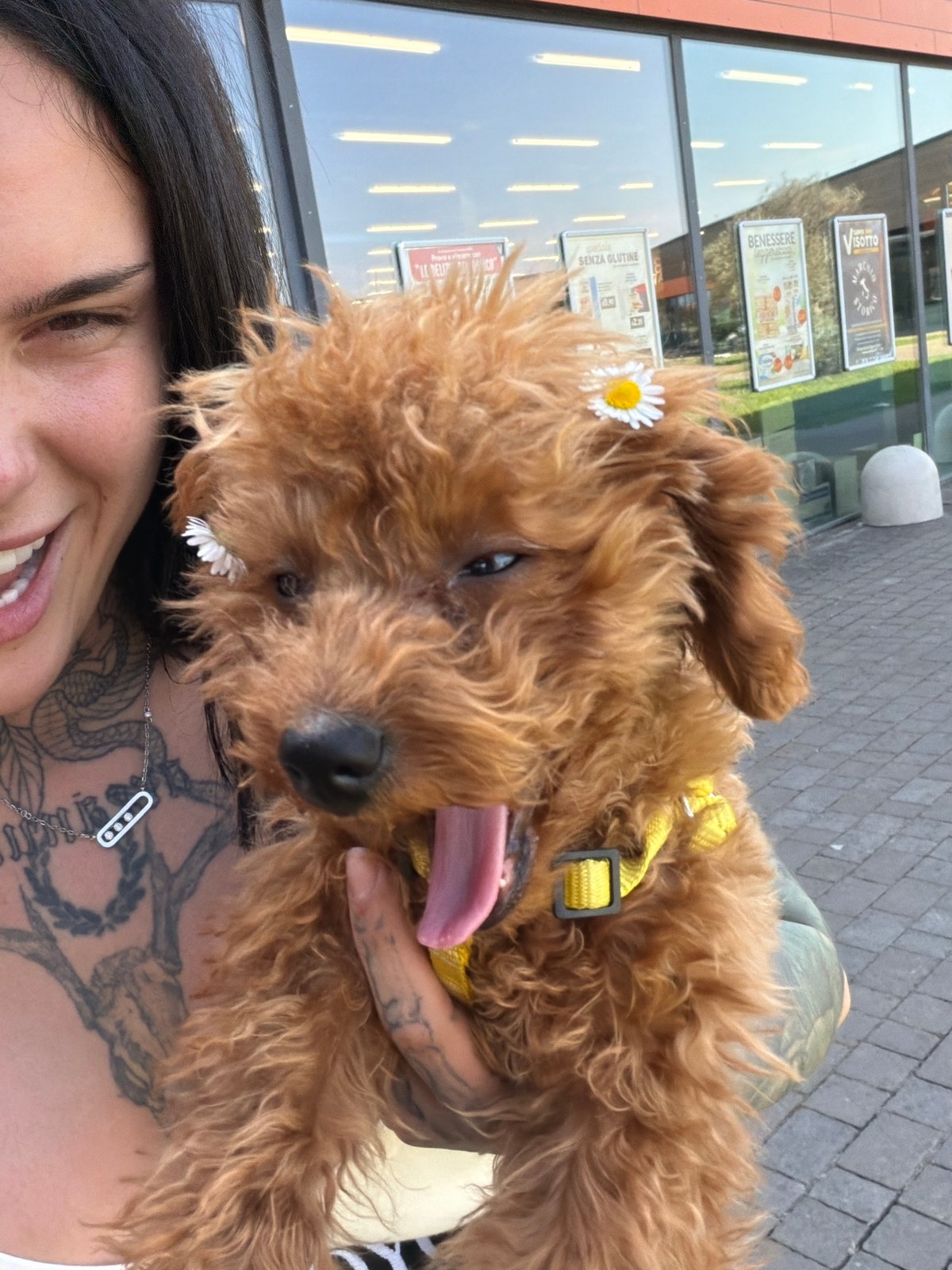Woman poses with flower-decorated poodle for selfie in Italy