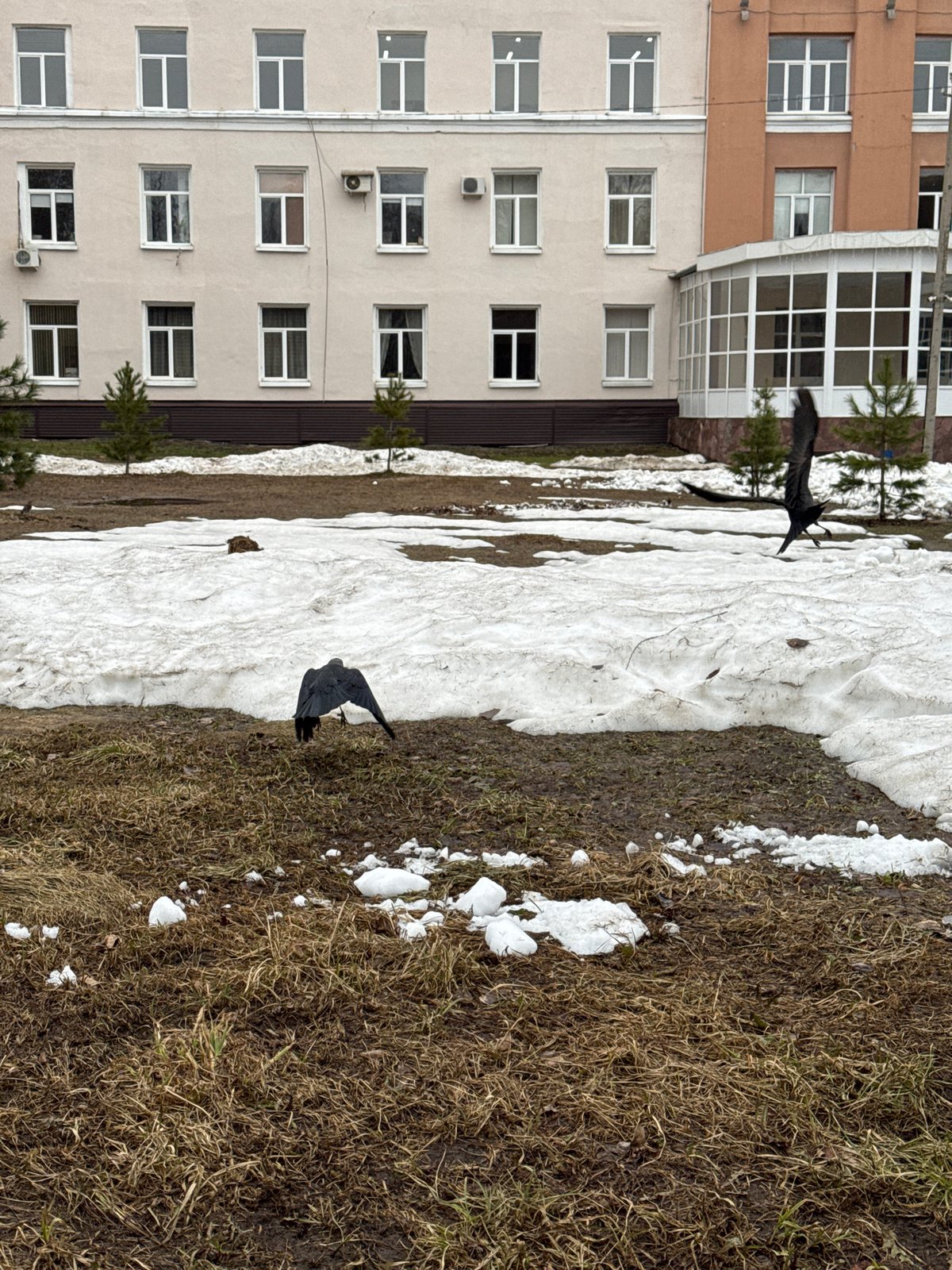 Child explores military display site in Izhevsk during spring visit