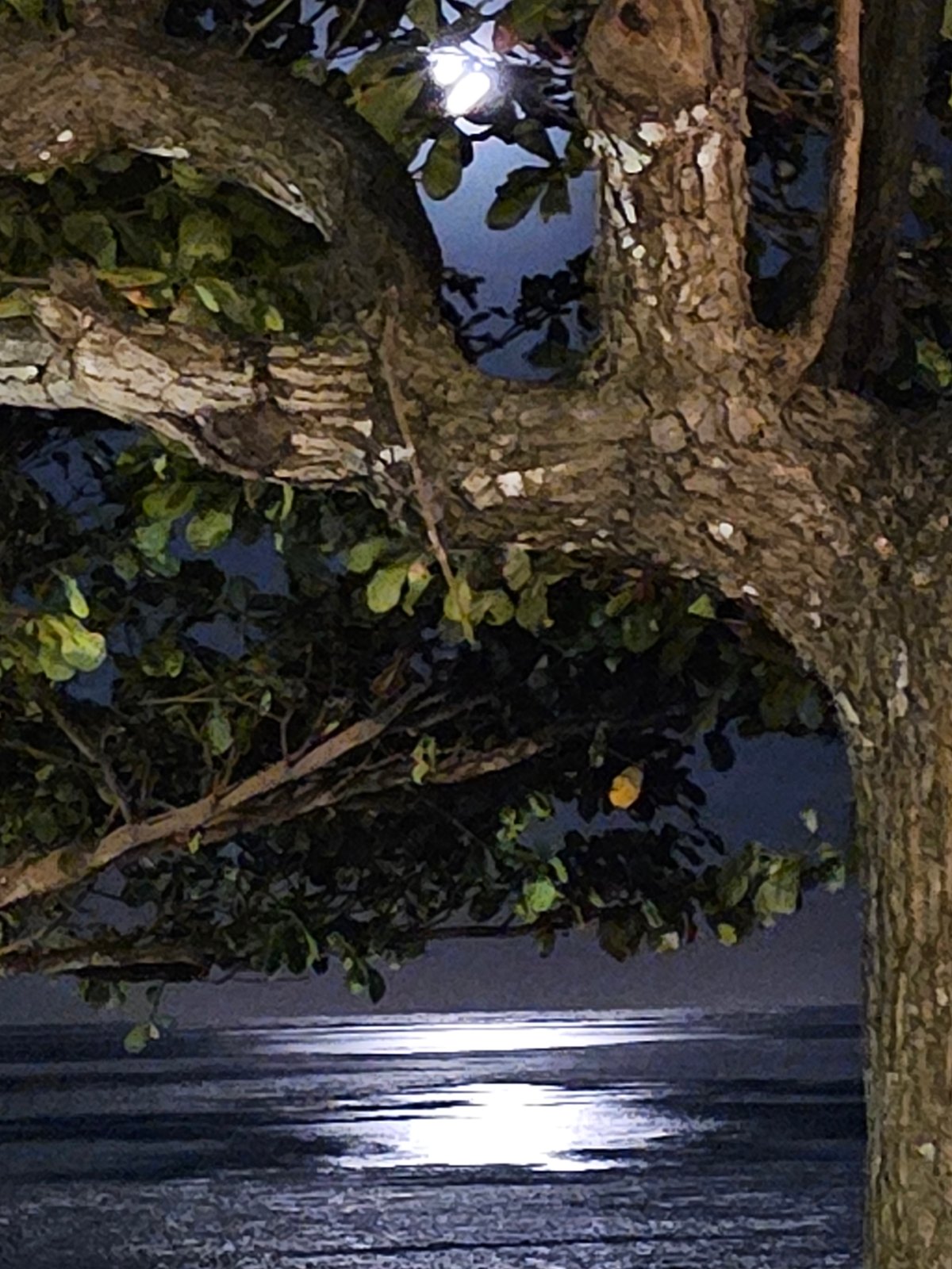 Full moon night at Sanur Beach: Balinese dance, food, and crowds