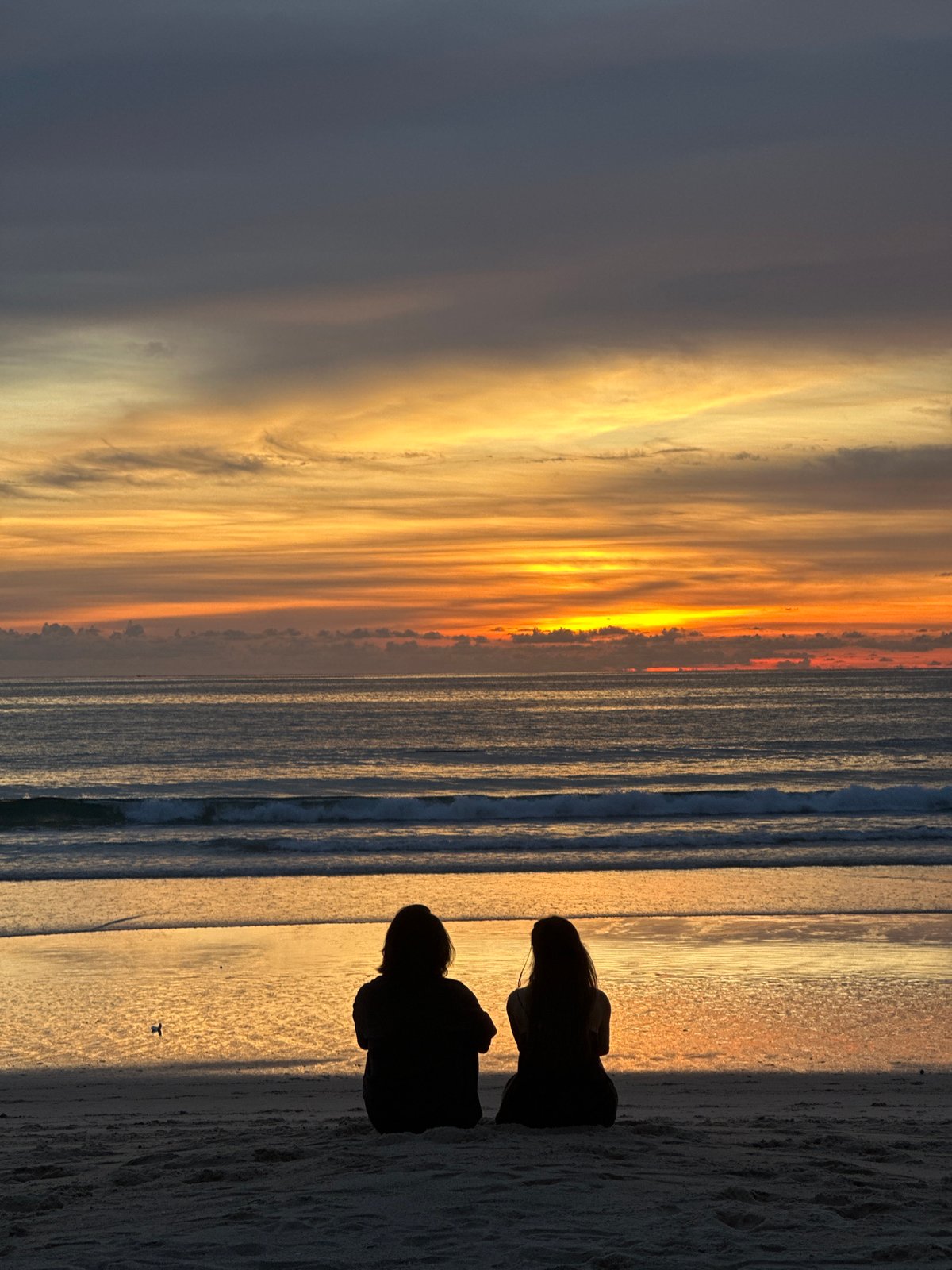 Horses, cats, and golden light at a beach sunset