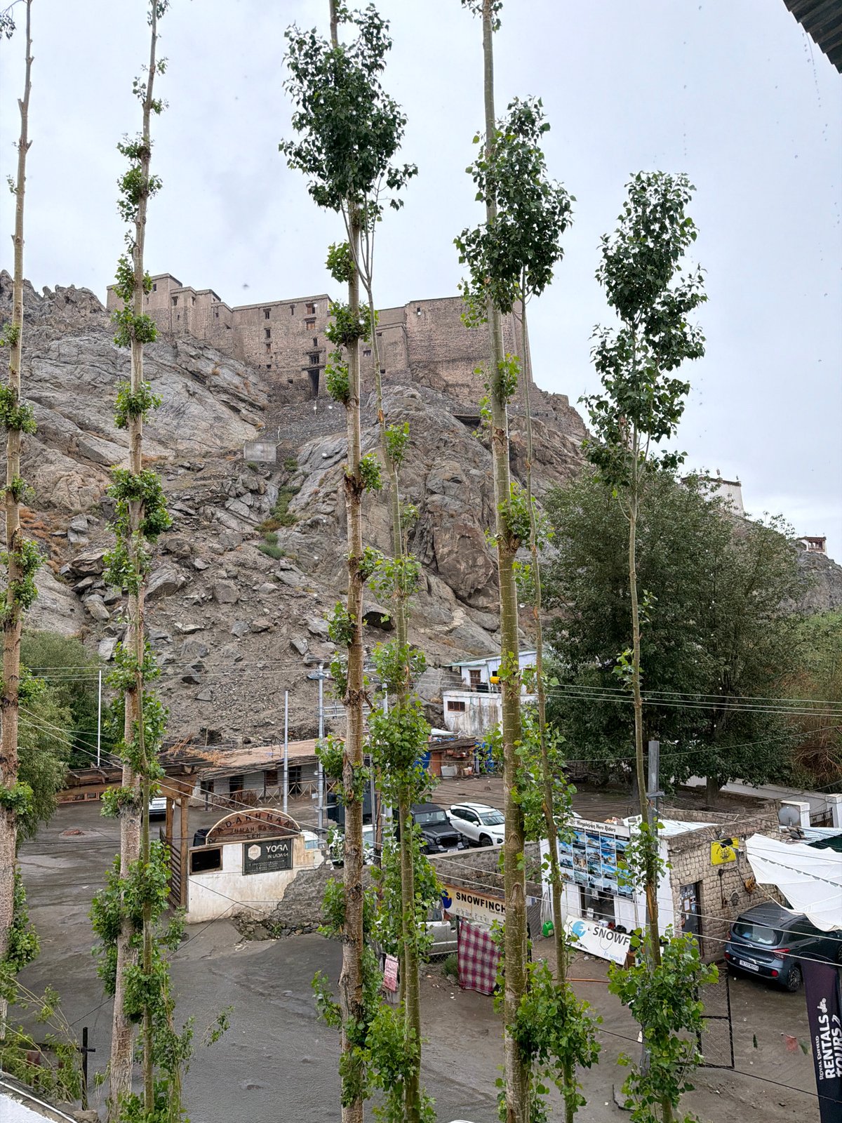 Rainy day at a Leh hillside fortress under cloudy skies