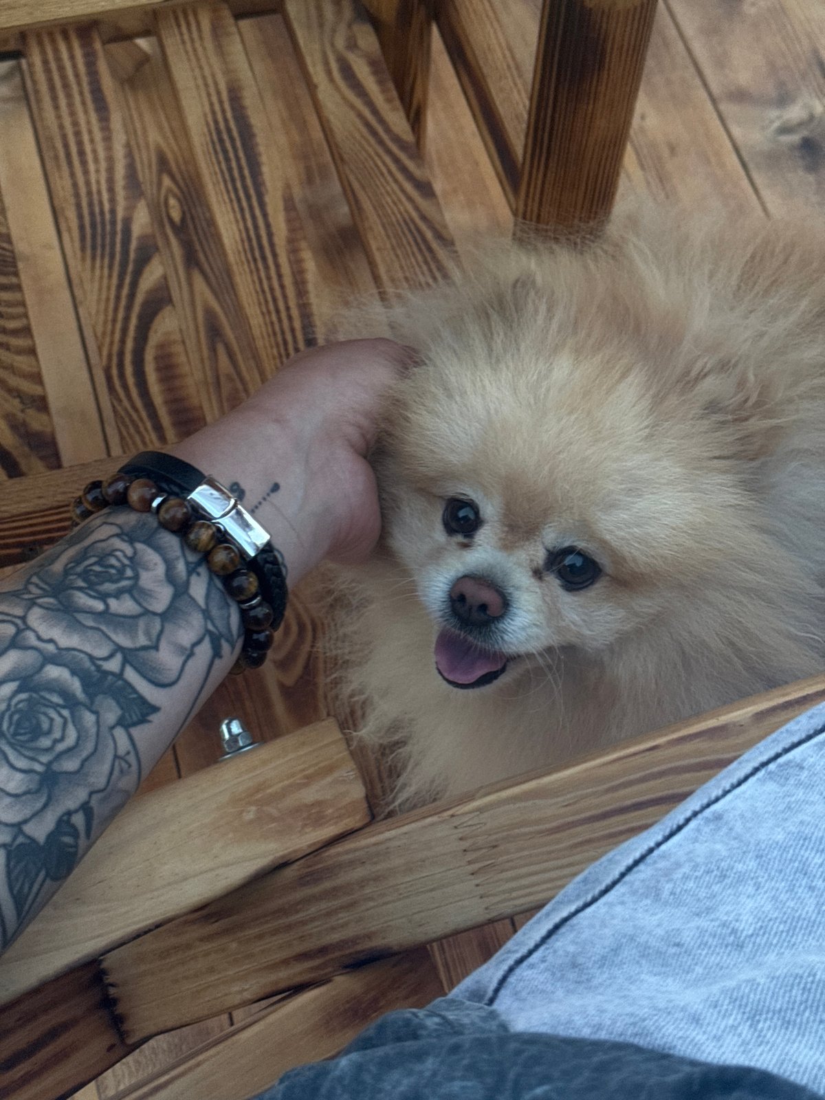 Lazy summer afternoon on a deck with a hot tub and a Pomeranian
