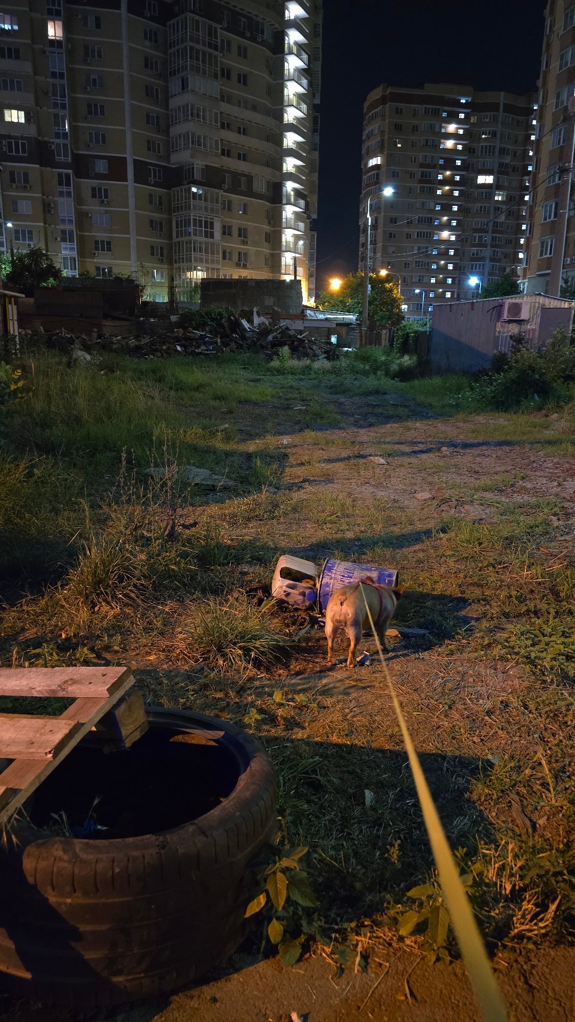 A quiet summer night on the streets of Krasnodar