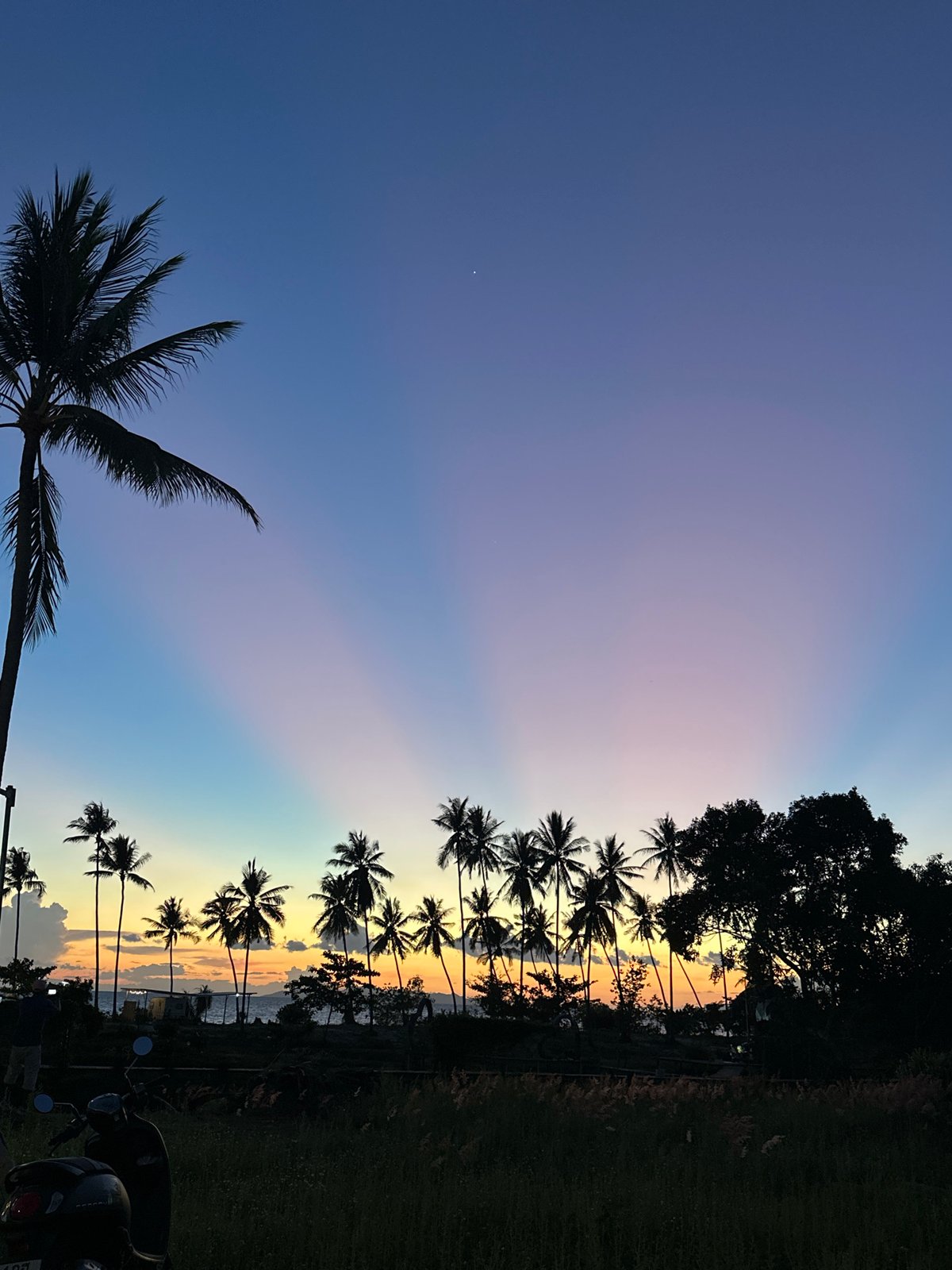 Dusk in Baan Taling Ngam: palms, spirit houses, and a parked Hilux