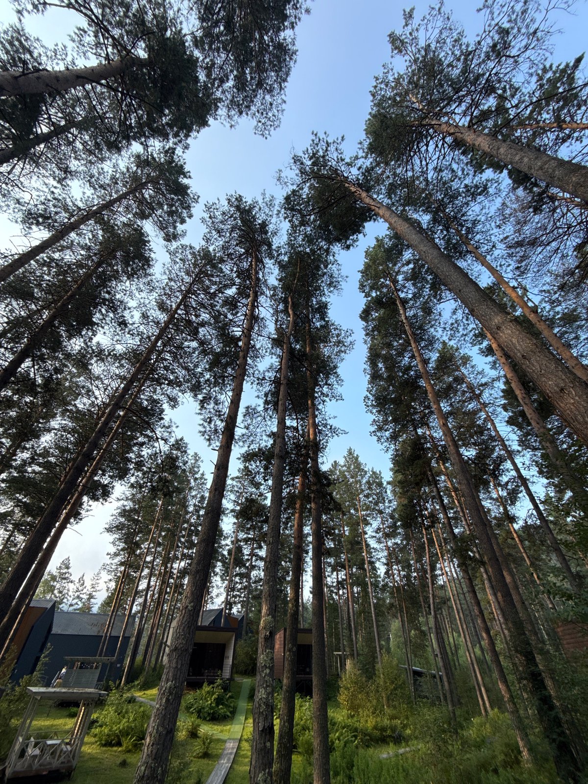 Lazy summer afternoon among pine trees and cabins in Barangol