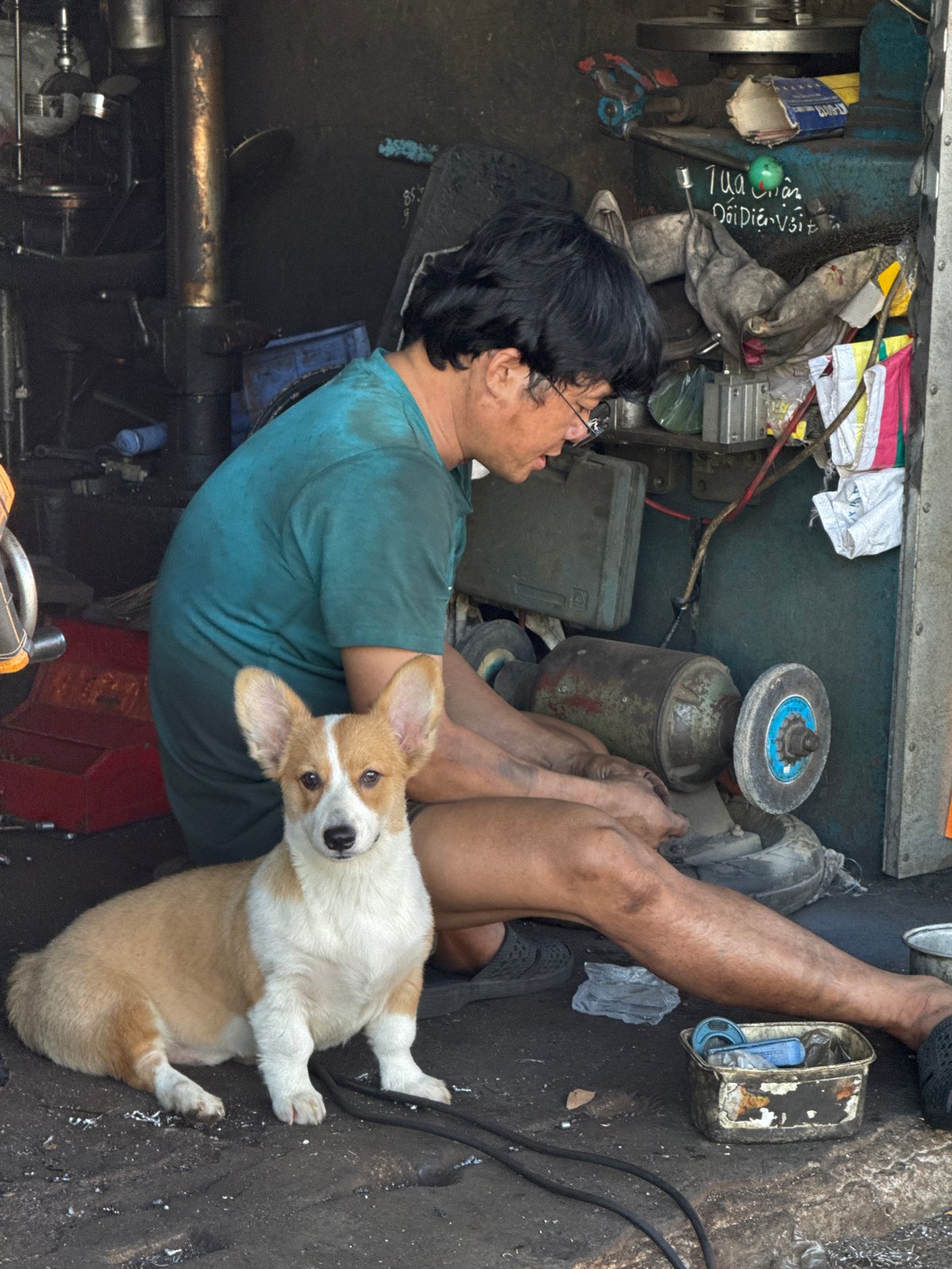 Daily life snapshots captured across Nha Trang ward