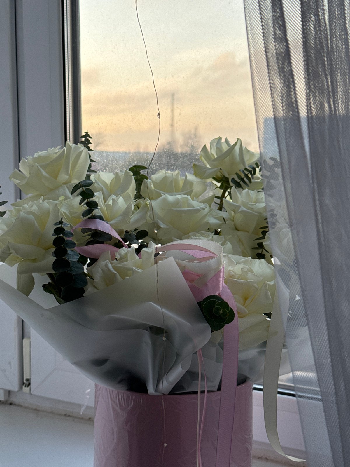 White roses and woman documented in afternoon observation