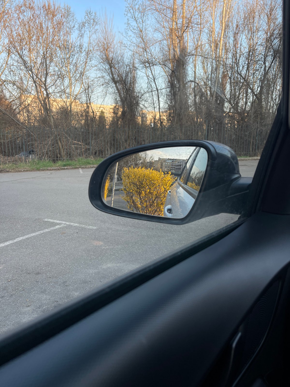 Woman in car observed early morning in Sofia parking area