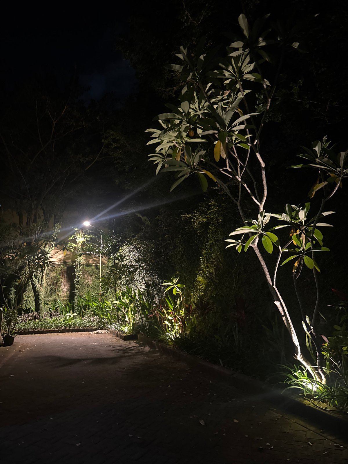 Nighttime street scenes documented in Kuta Selatan, Indonesia