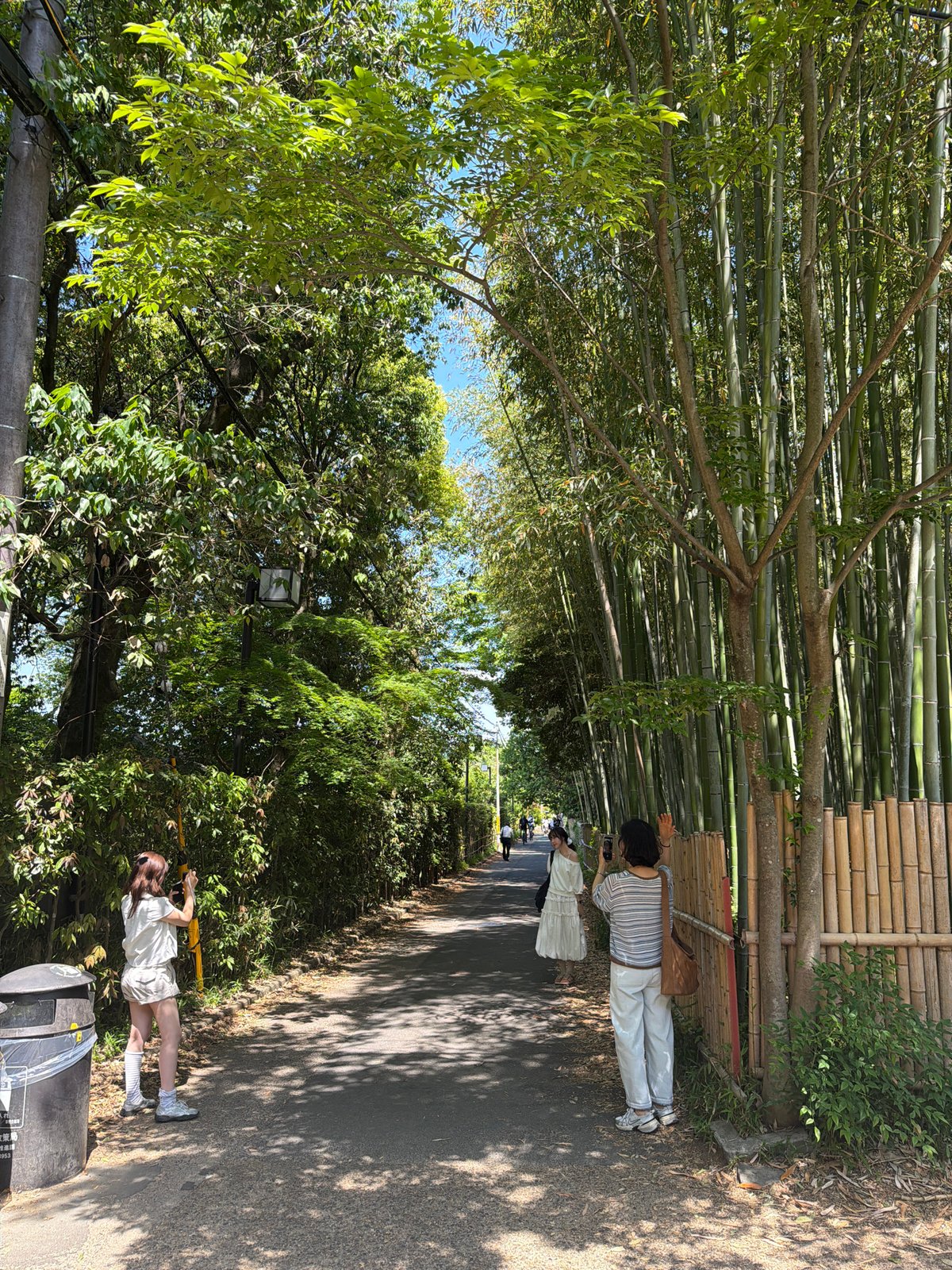 Early morning visitors explore Kyoto's Arashiyama Bamboo Grove