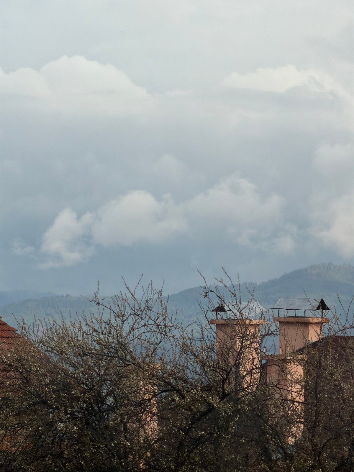 Quiet domestic afternoon captured in Velingrad home scenes