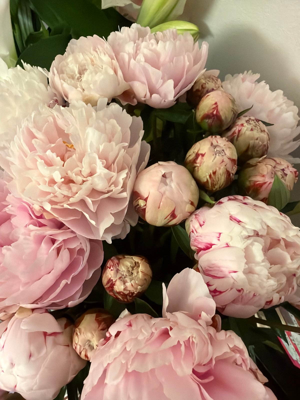 Pink and white peony bouquet photographed in London evening