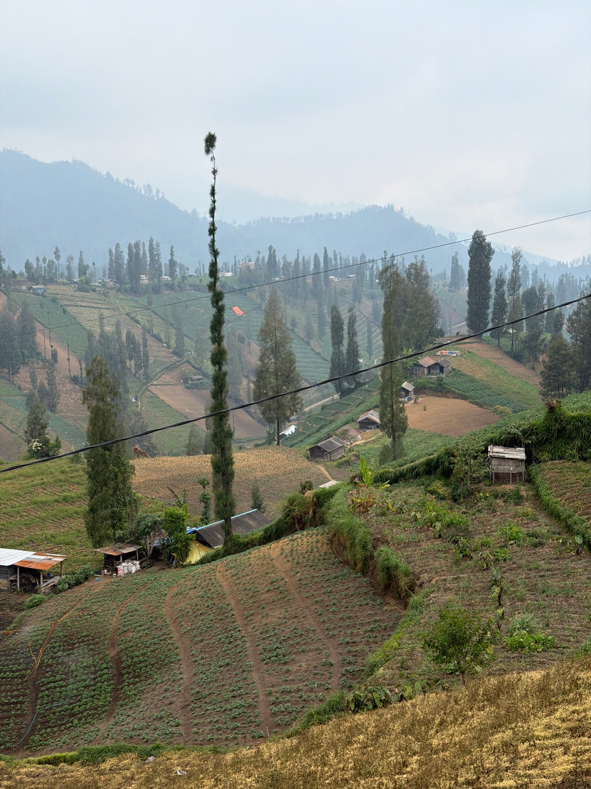 Terraced fields, dense cemeteries, and mountain roads in Ngadas, Java