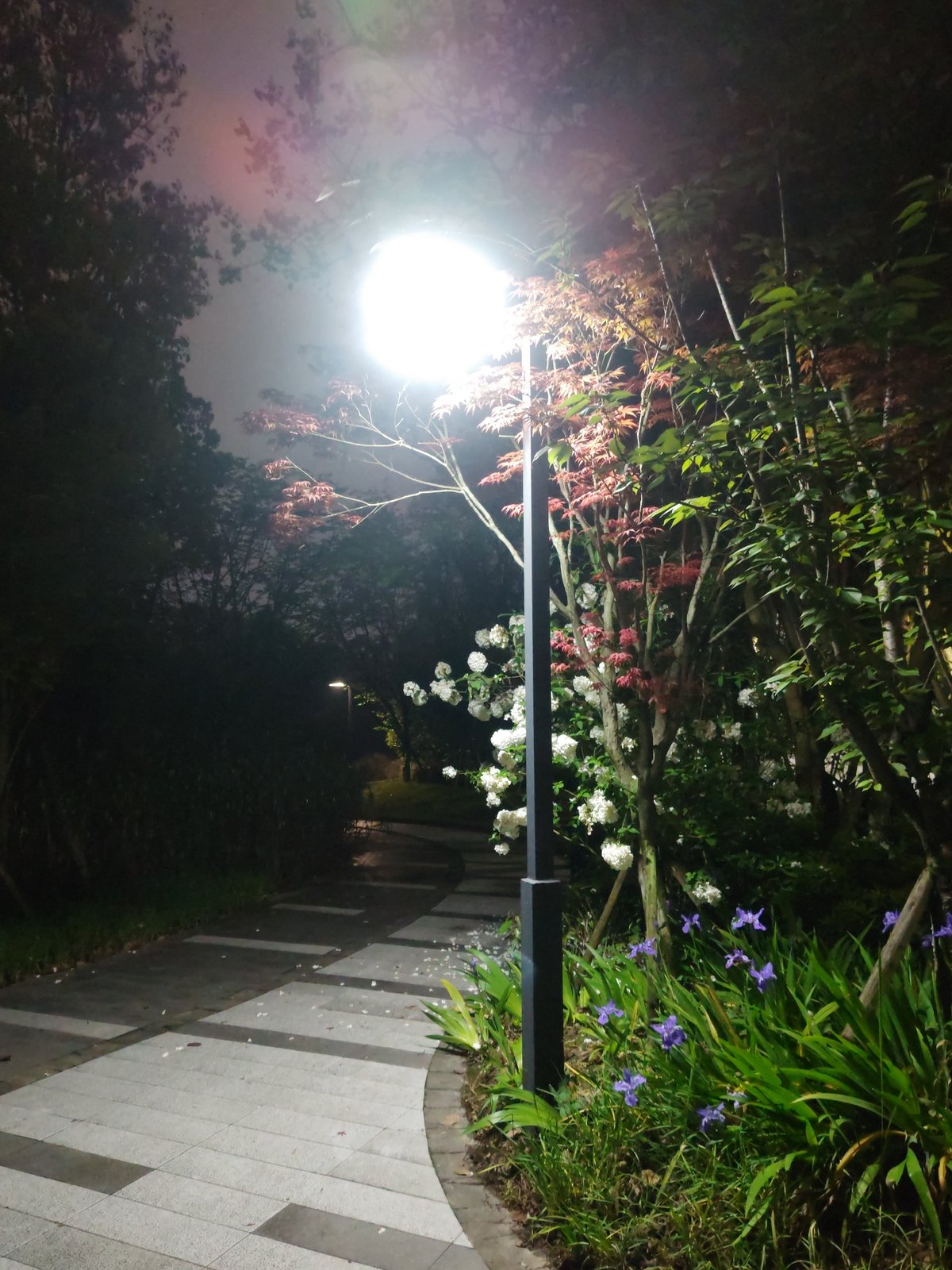 Evening stroll documented through Chongqing High-tech Zone parklands