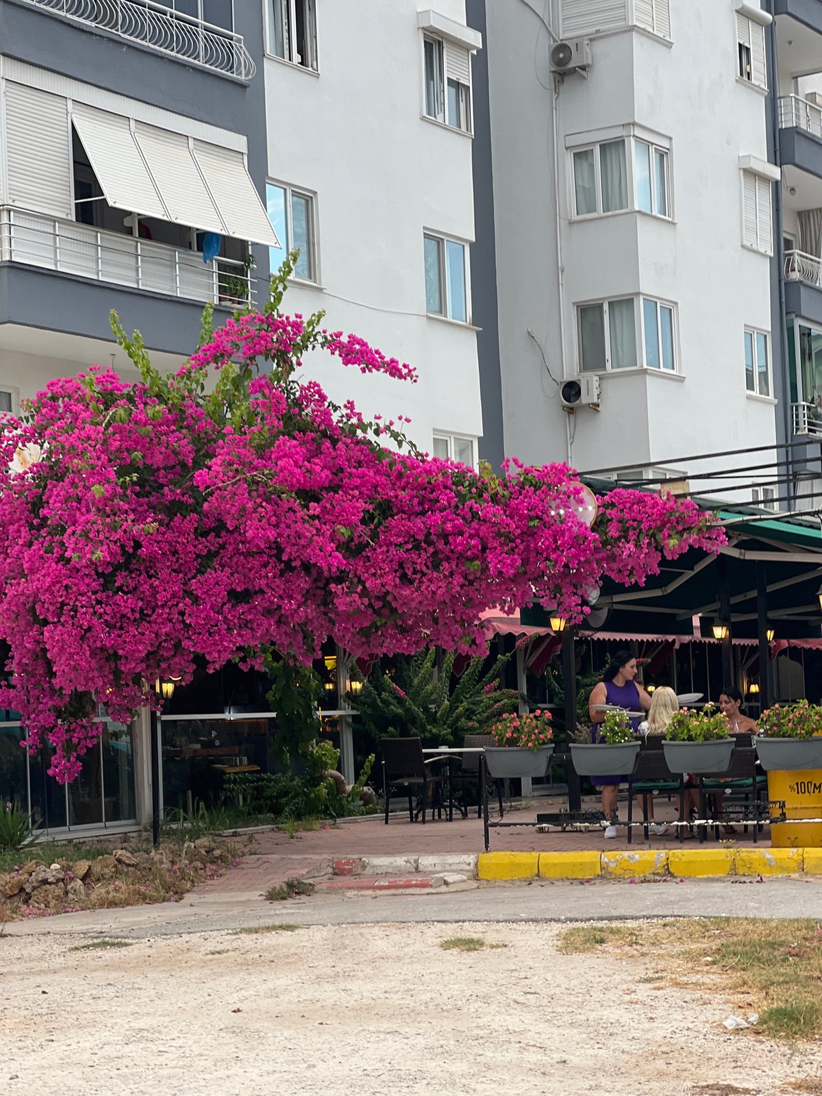 Afternoon stroll through Antalya's streets, flora and city life