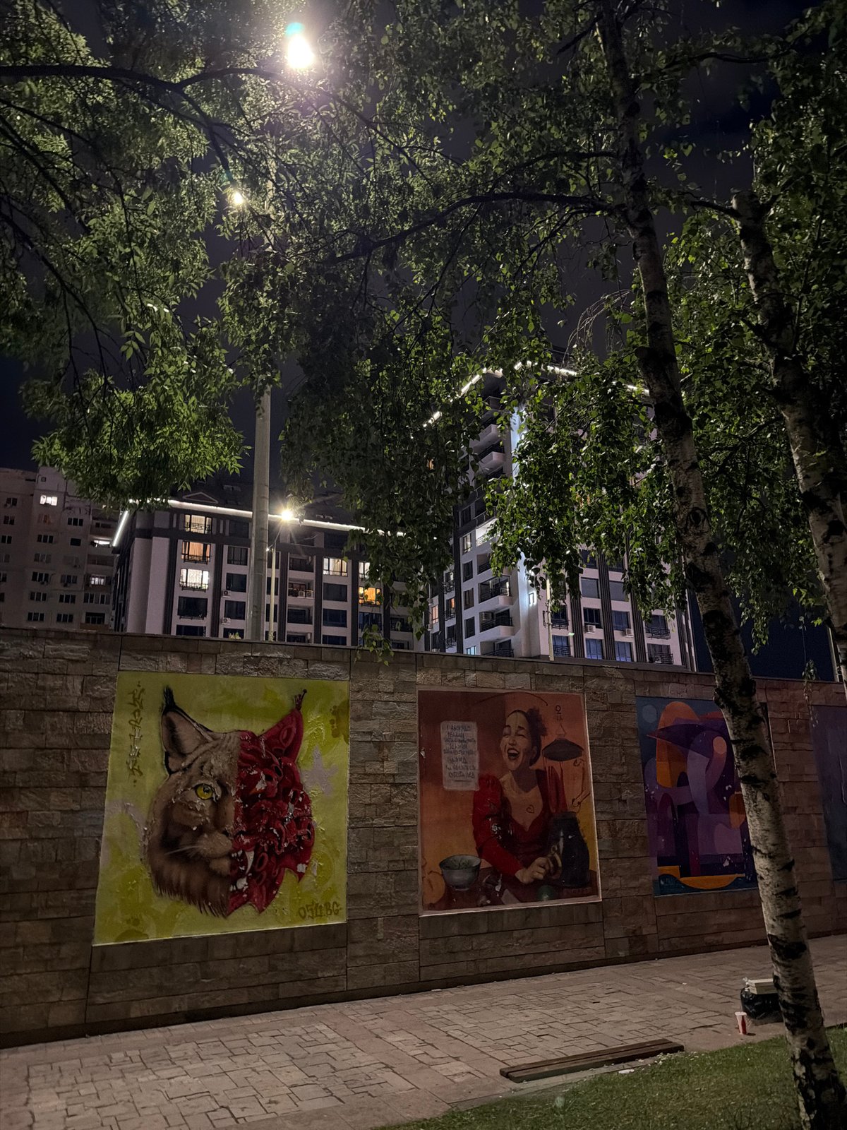 Street murals in Sofia explored at night, lynx piece front and center