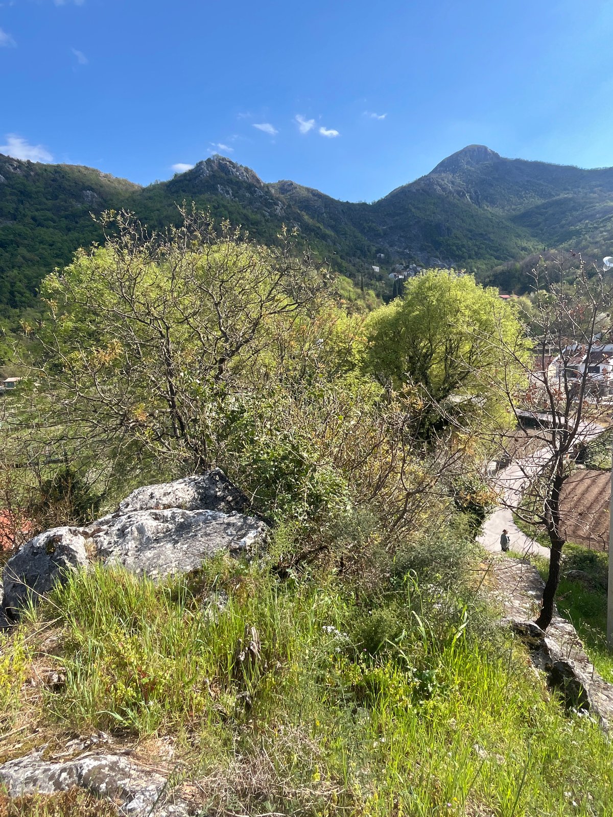 Spring scenes documented across Godinje, Montenegro in 15-minute walk