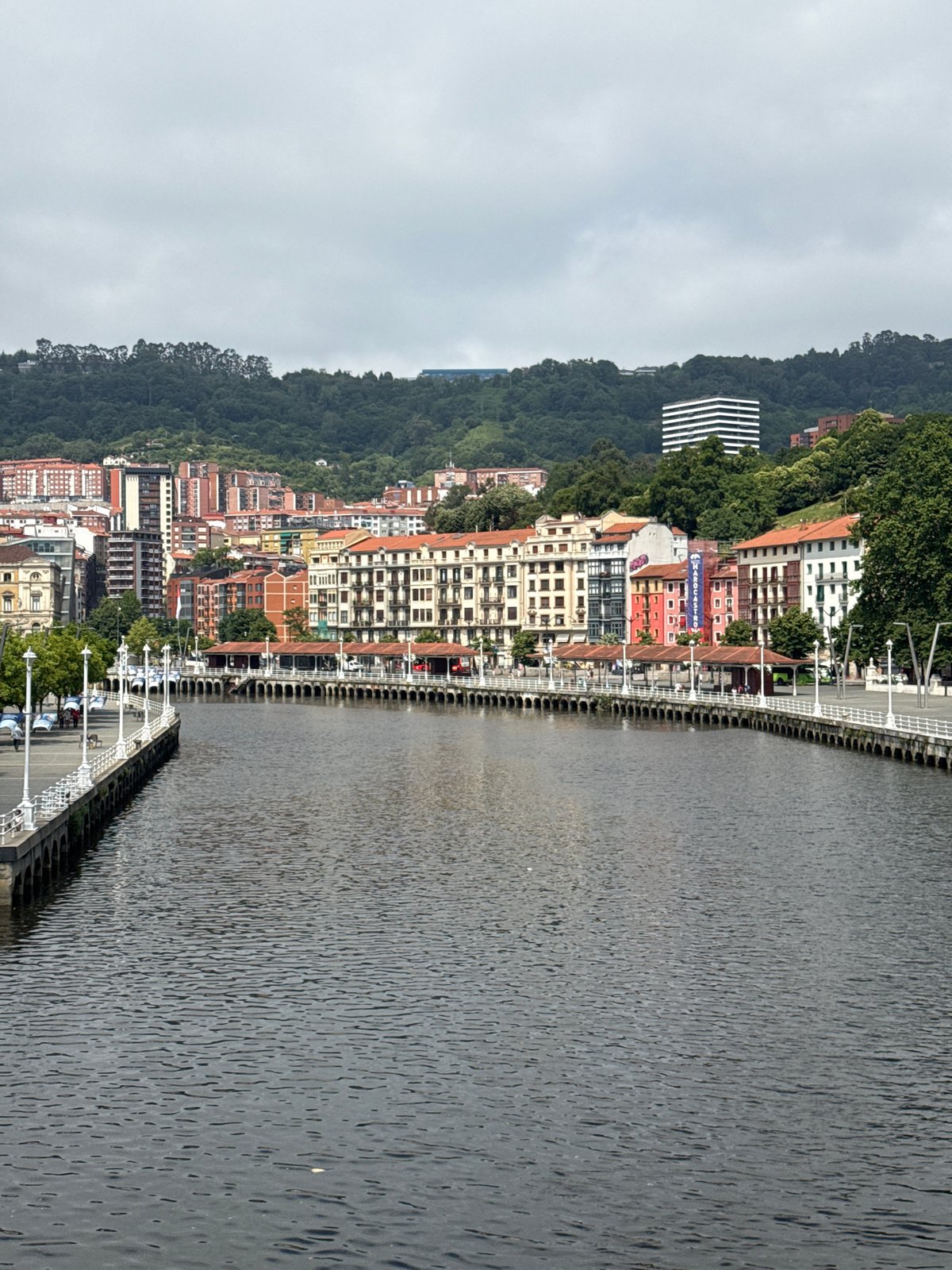 Afternoon tour of Bilbao's historic landmarks and streets