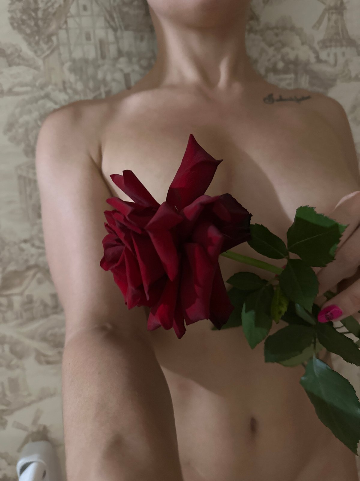 Woman photographs herself with red roses in Vladimir home
