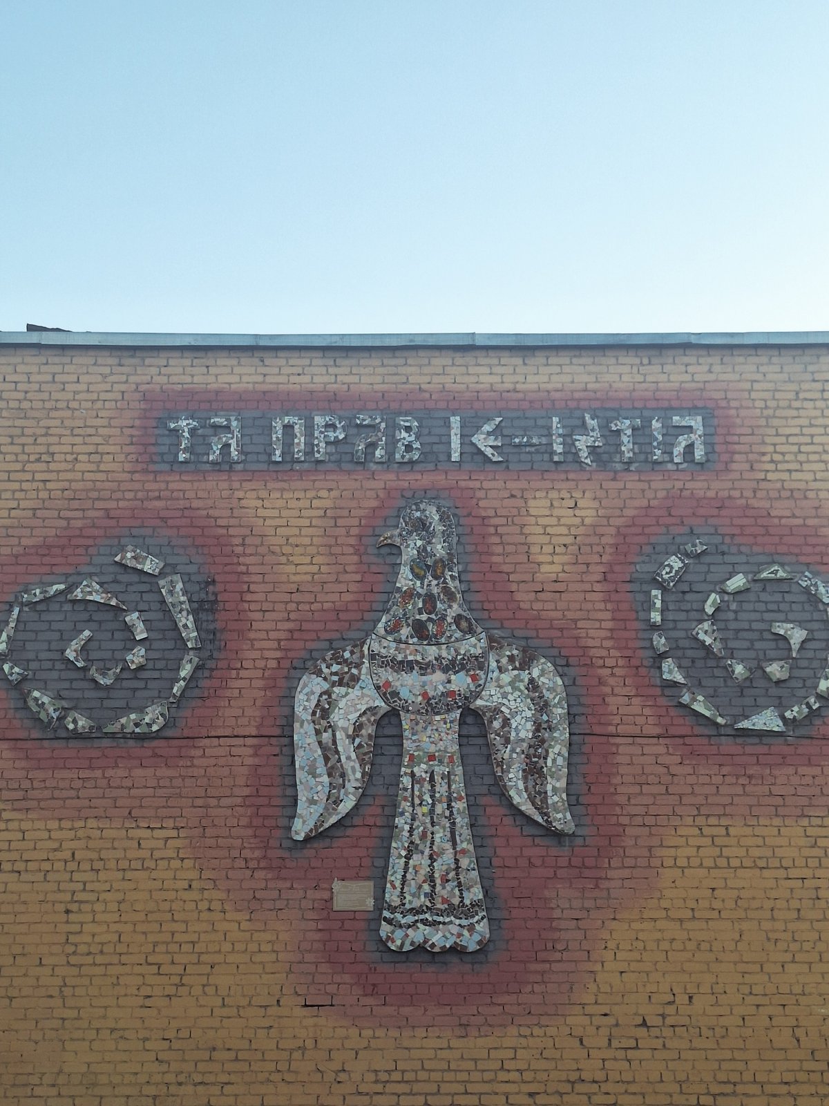 Urban art installations documented across unknown city locations