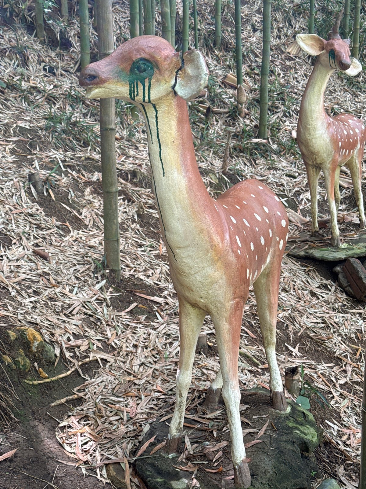 Wildlife and decorative animals spotted in Ngã Ba Kim