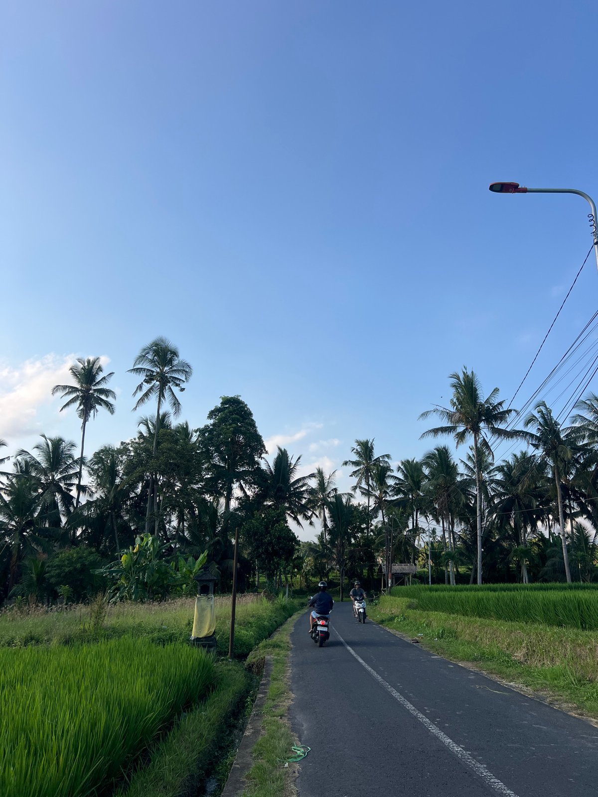 Serene morning landscape documented in rural Tampaksiring, Indonesia
