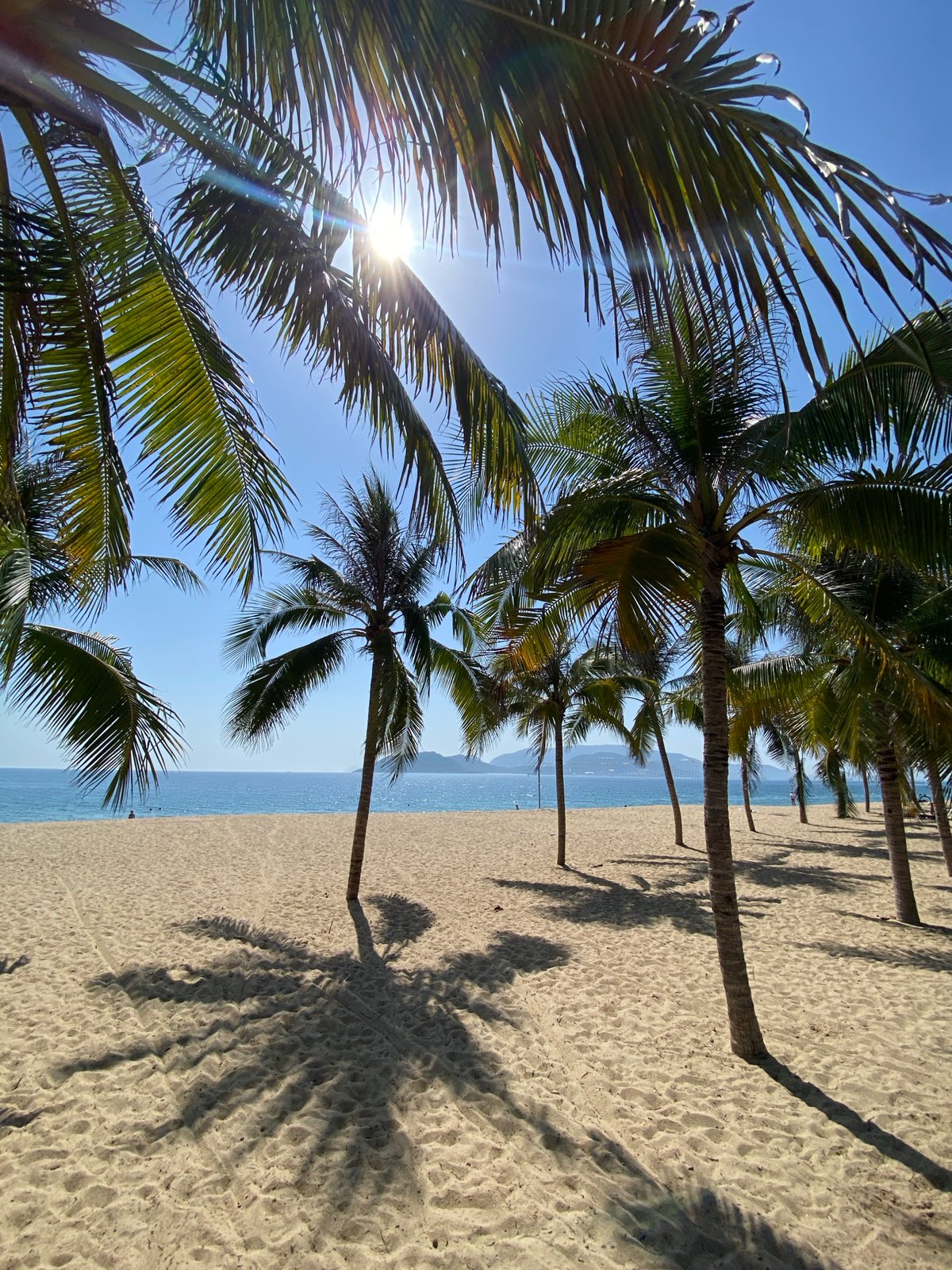 Sunny afternoon on Nha Trang's palm-lined beach