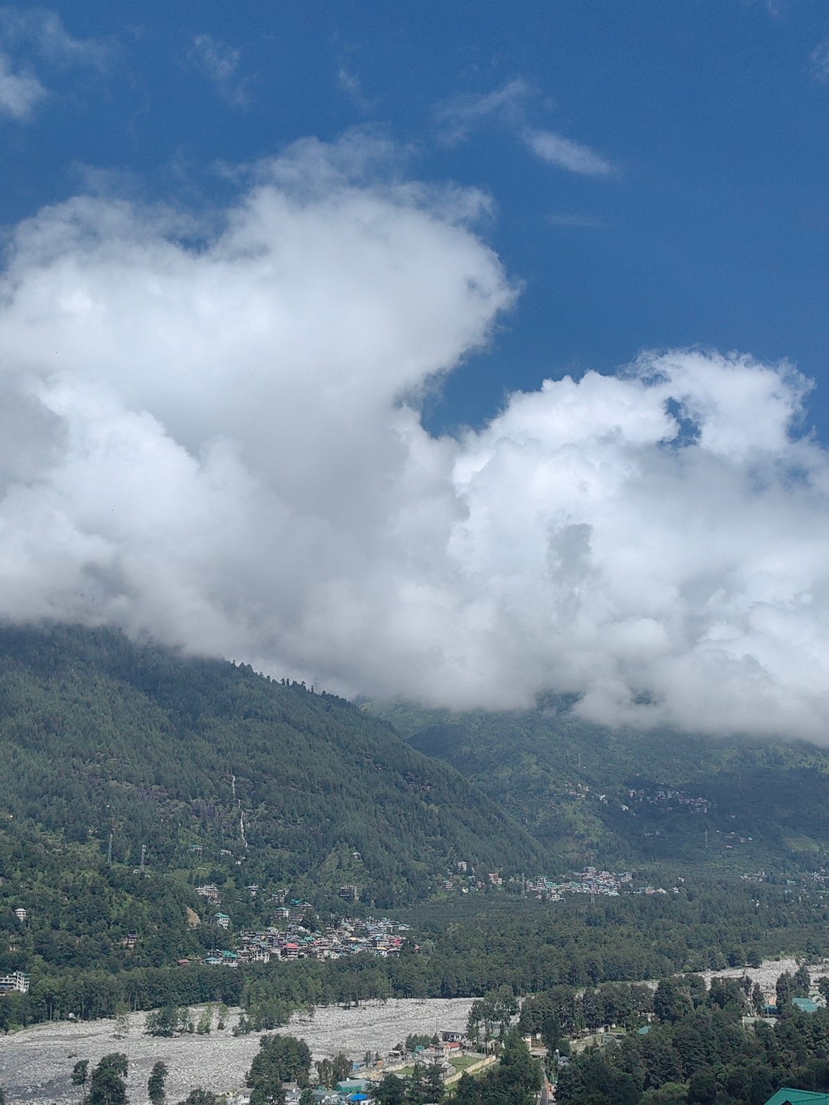 Morning in Vashisht: hillside village, birds, and mountain light