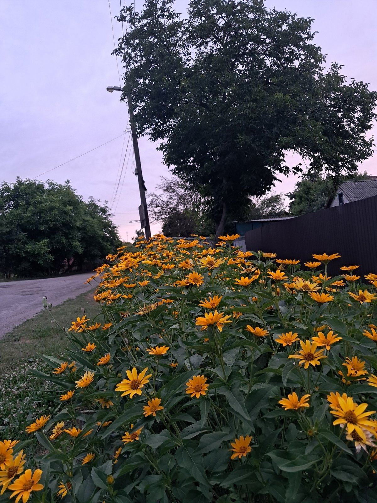 Summer evening walk through Kremenchuk neighborhoods at golden hour