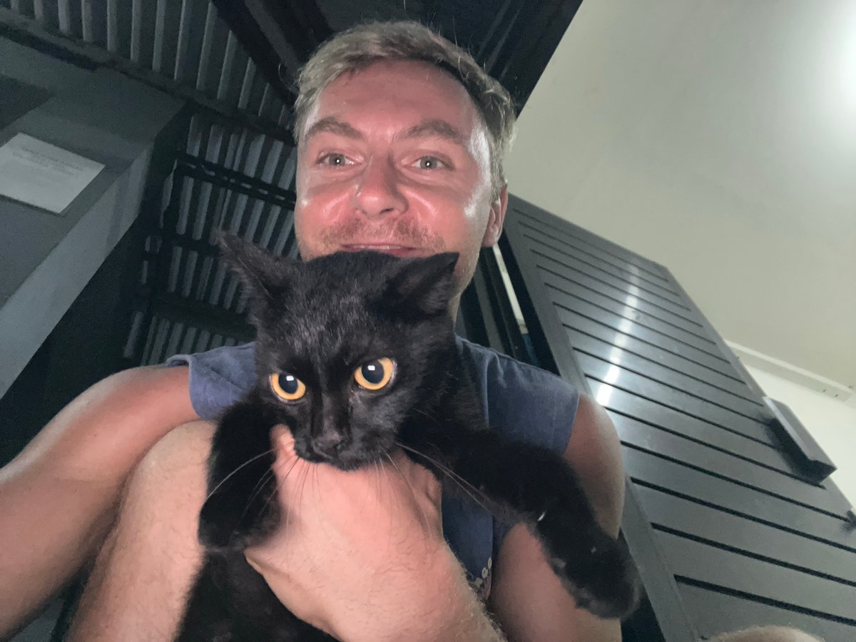 Man holds black cat upside down in Denpasar