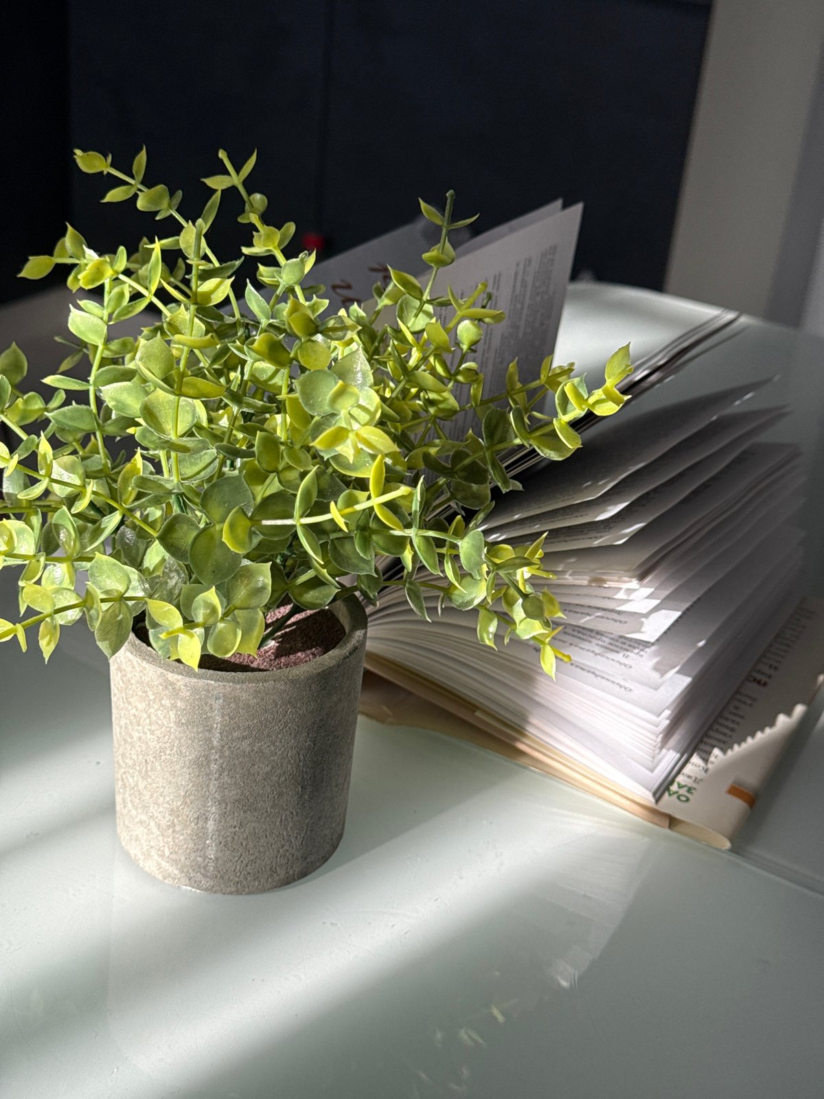 Afternoon reading session at a sunlit home desk