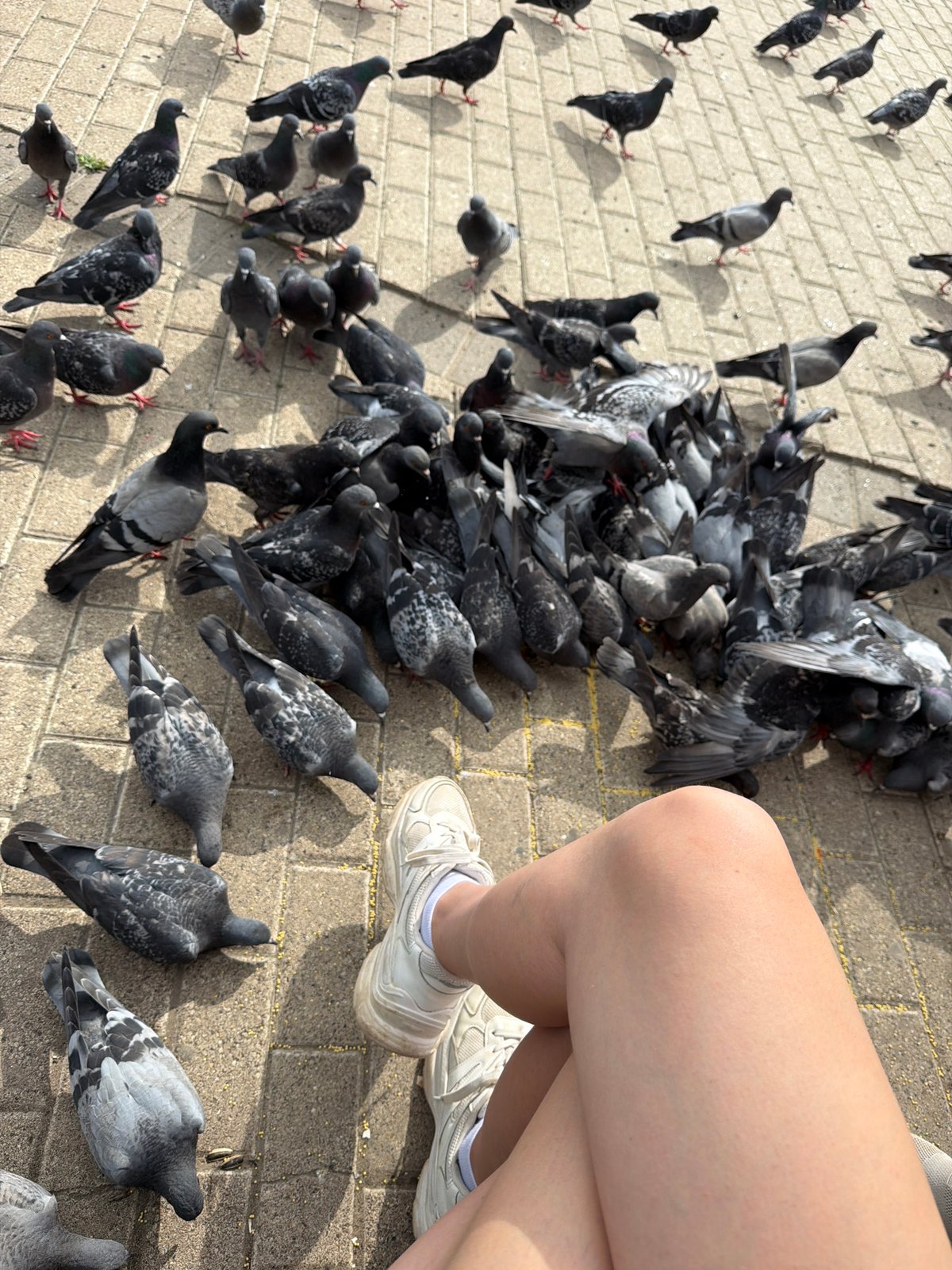 Feeding pigeons and blowing bubbles at a Chaikovsky square