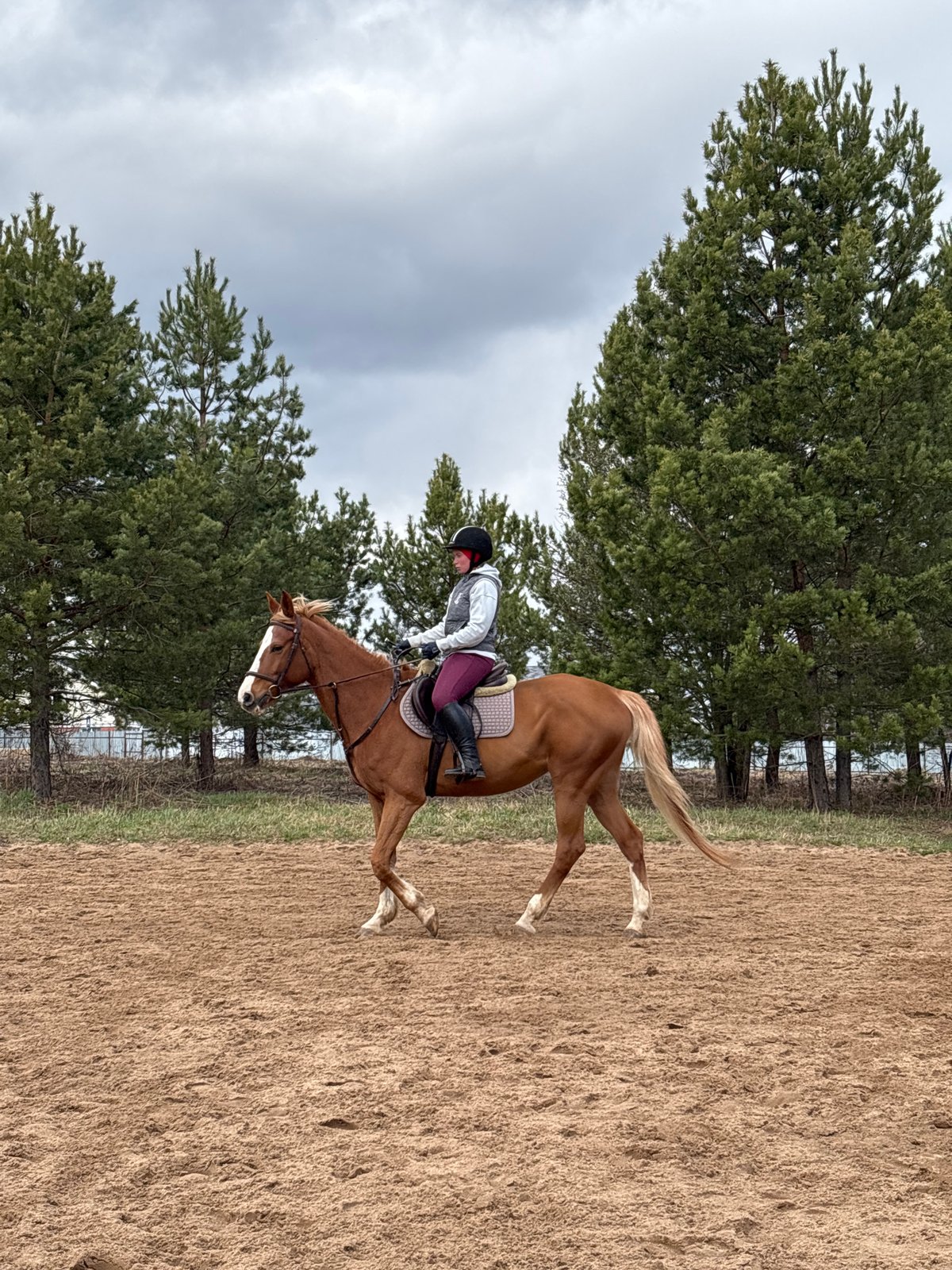 Equestrian training session documented in rural Russia