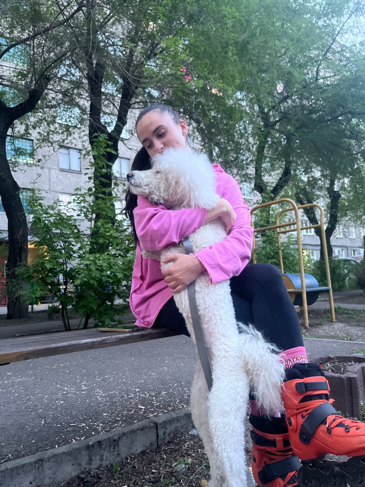 Woman with poodle takes rollerblade break in Krasnoyarsk