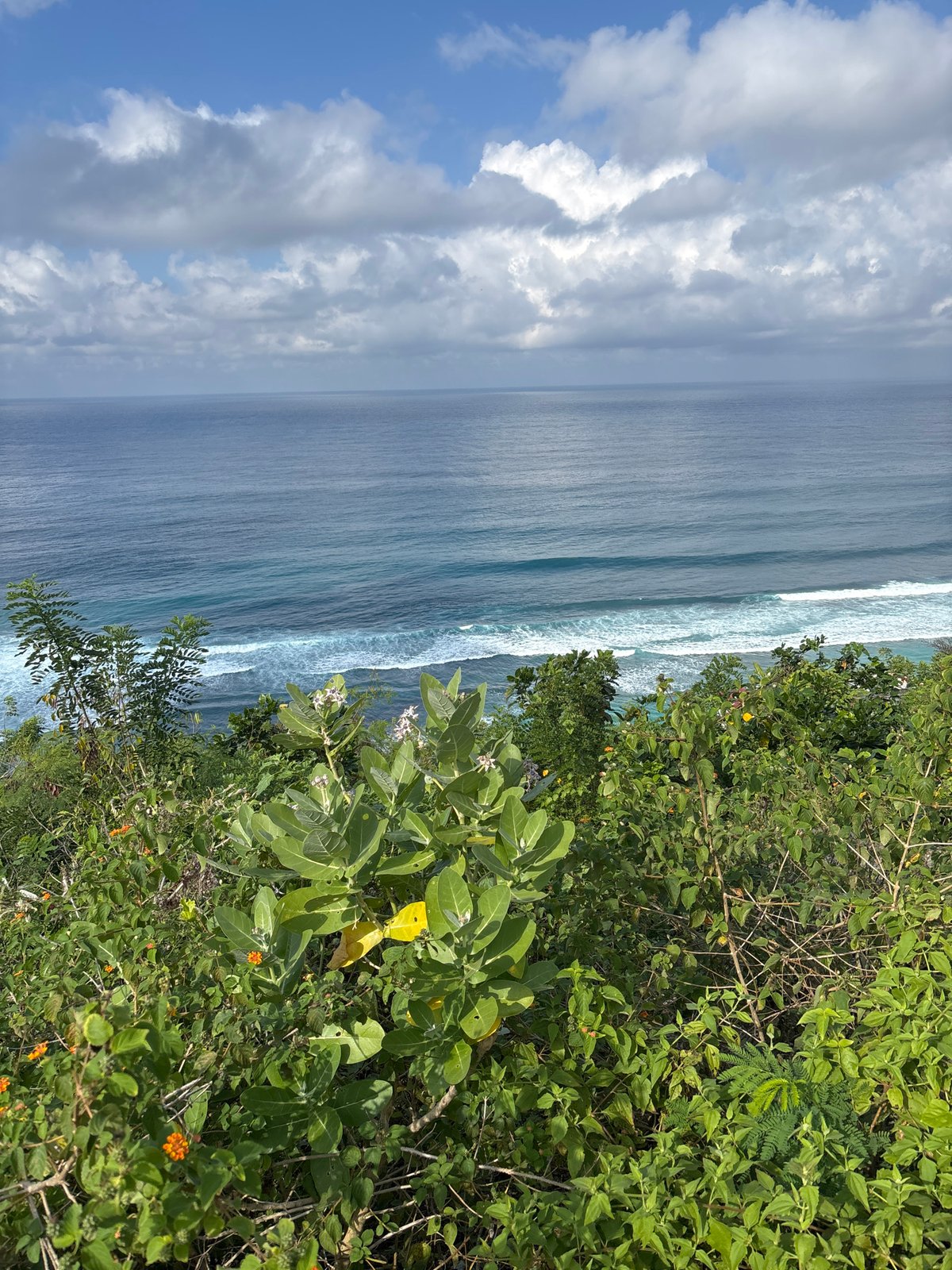 Coastal pathways and ocean views documented in Kuta Selatan
